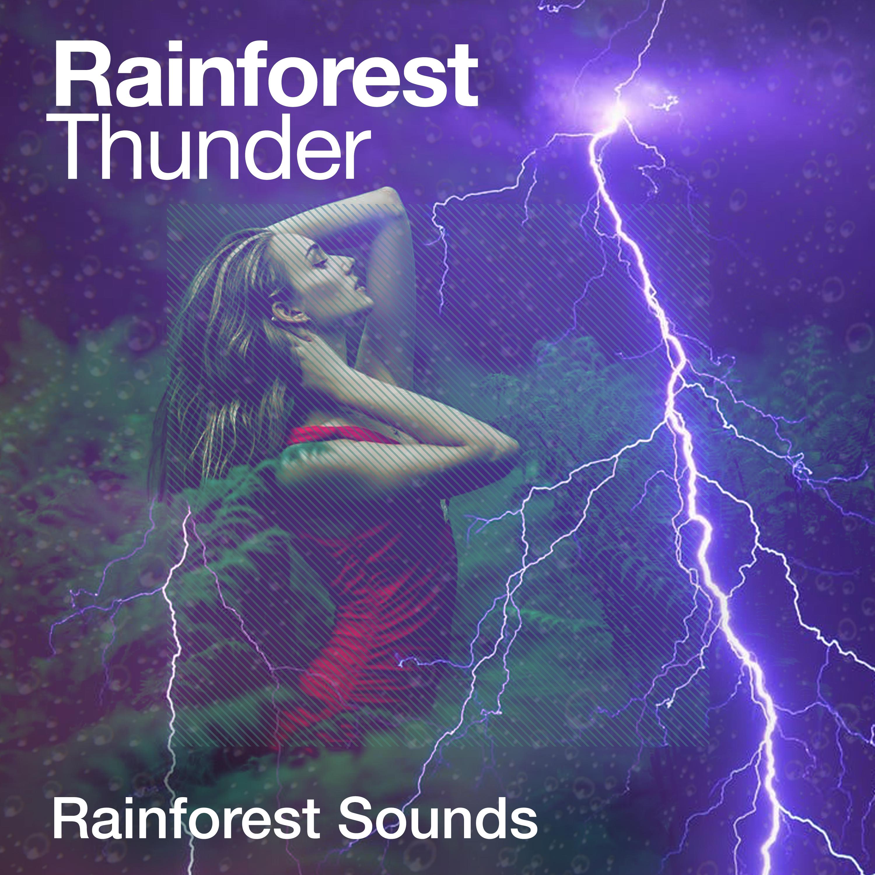 Rainforest Thunder