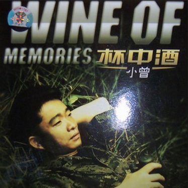 杯中酒 Wine Of Memories(Instrumental)