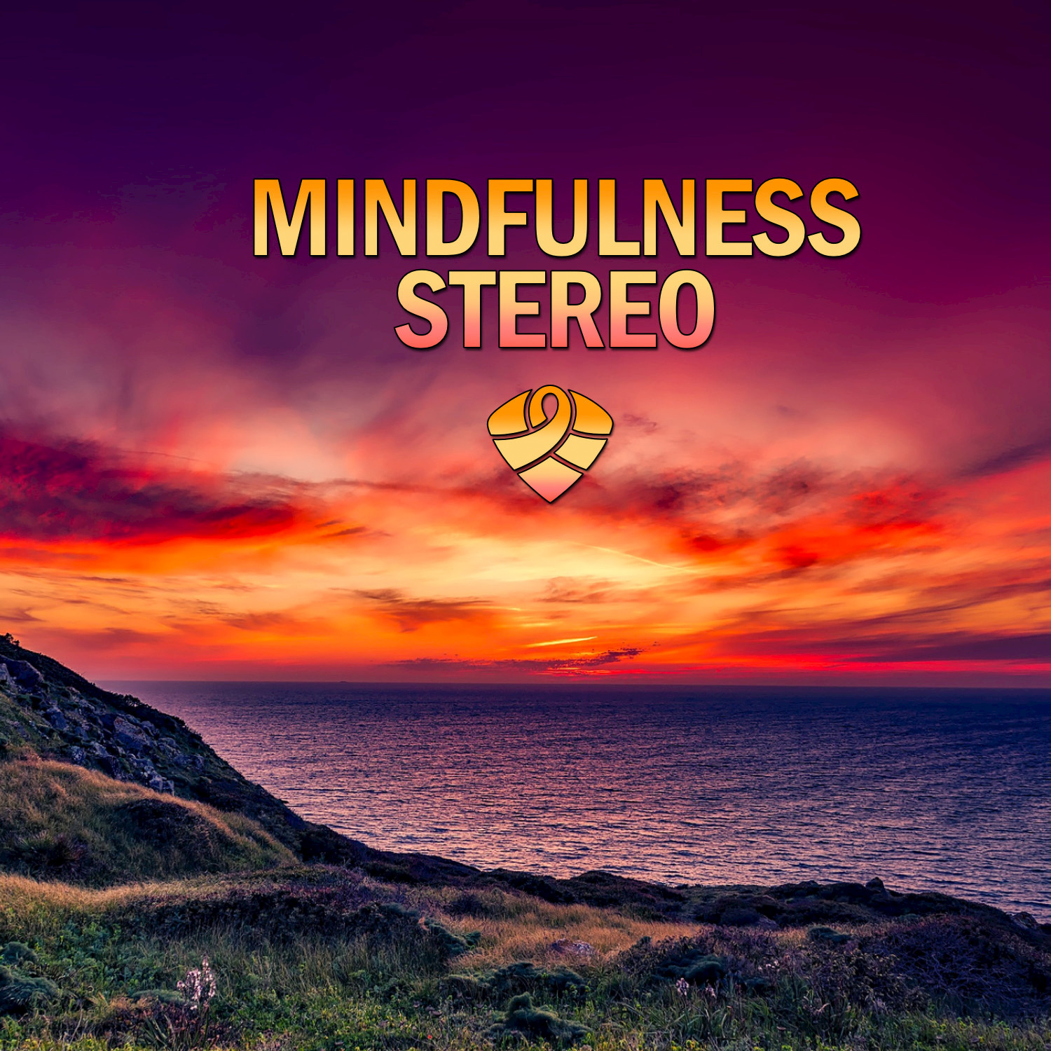 Mindfulness Stereo, Vol. 12