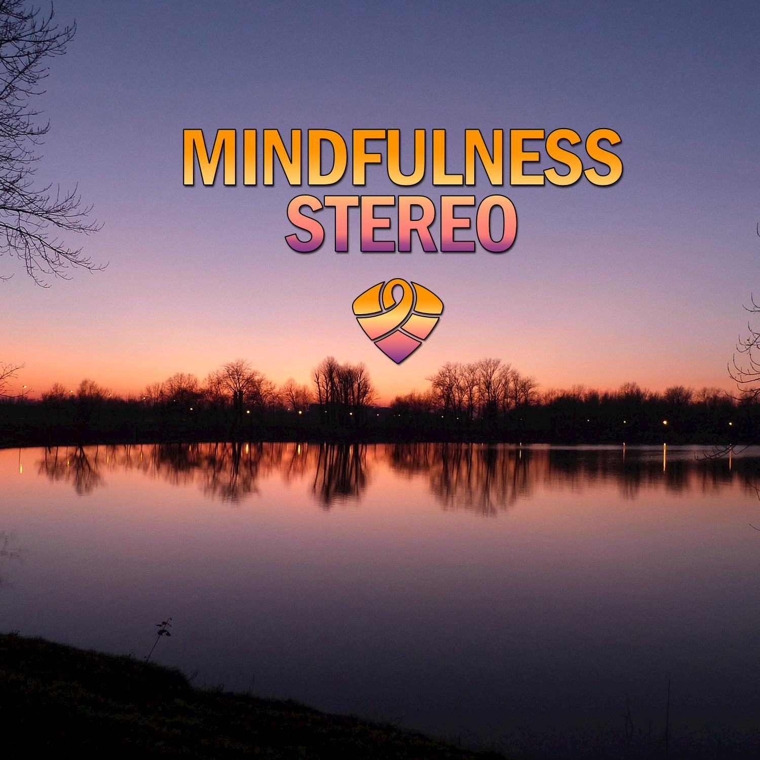 Mindfulness Stereo, Vol. 13