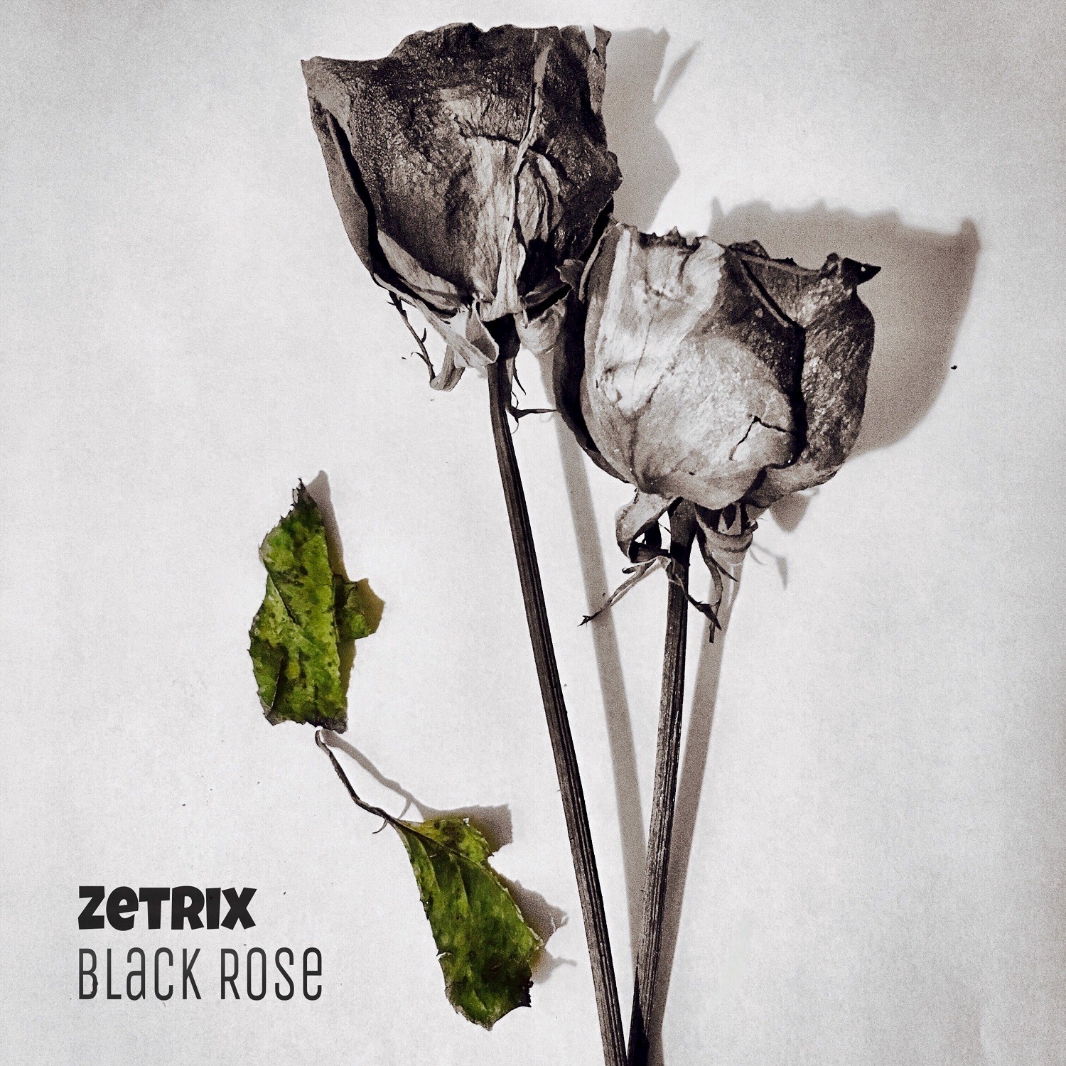 Black Rose