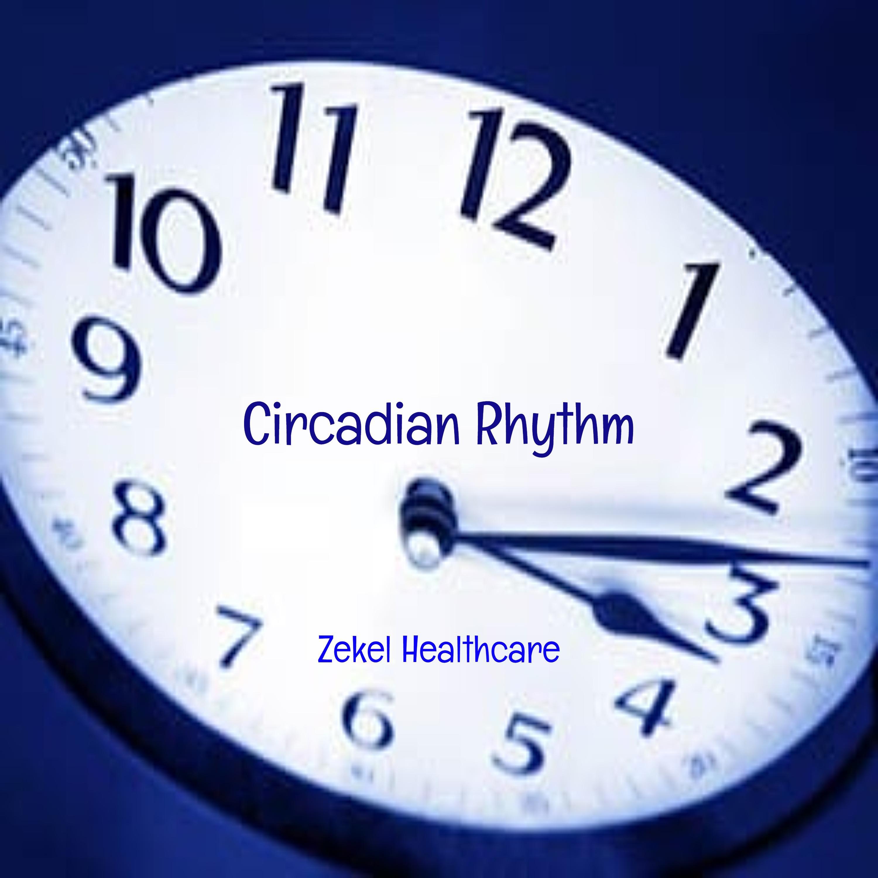 Circadian Rhythm