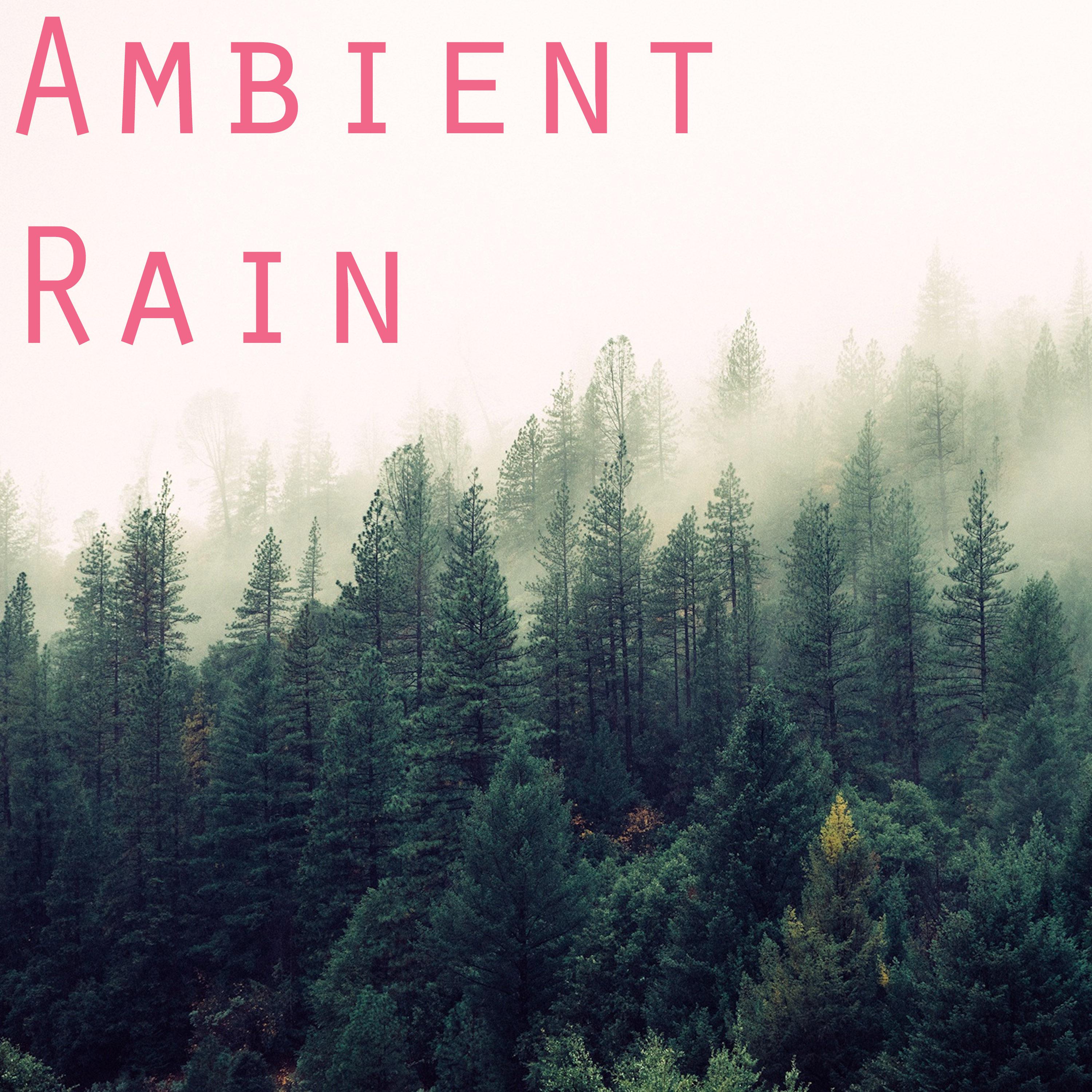 2017 Ambient Rain Collection
