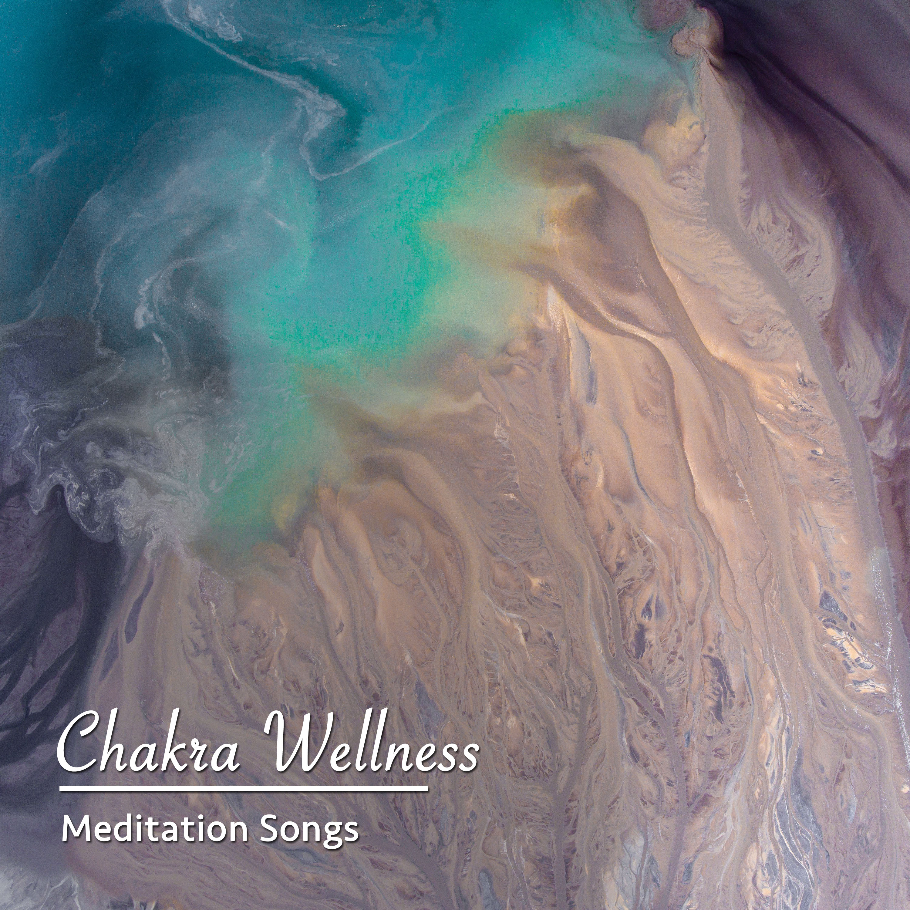 17 Chakra Wellness: Meditation Songs