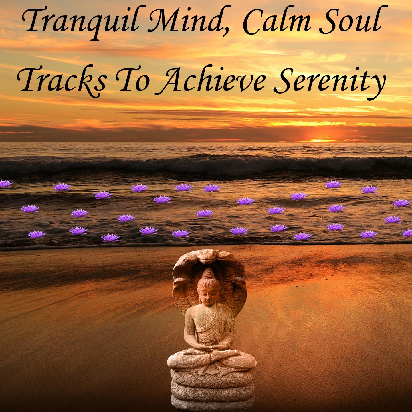 Tranquil Mind, Calm Soul Tracks To Achieve Serenity