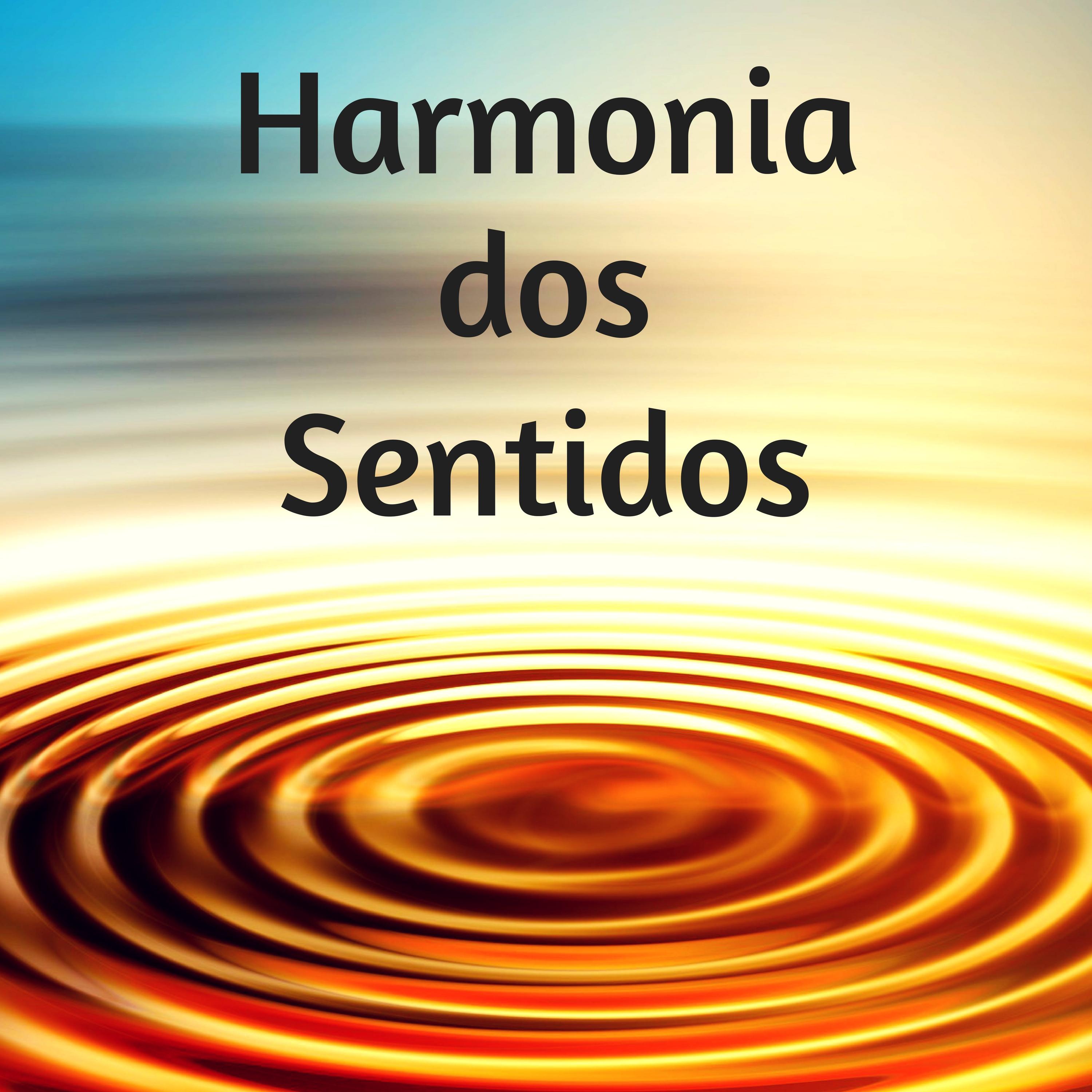 Harmonia dos Sentidos - Musicas de Fundo para Esturar e Preparar Examenes