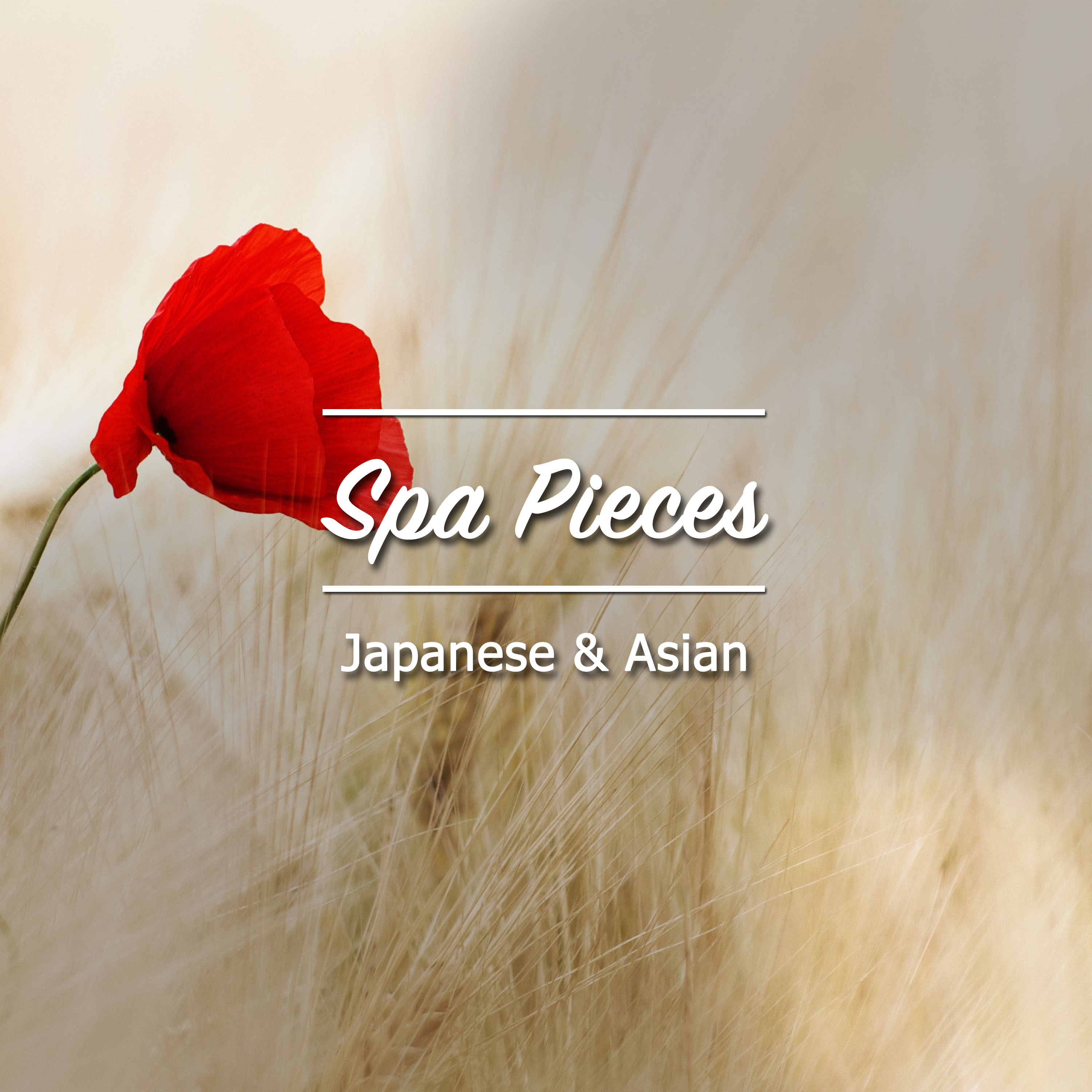 12 Japanese and Asian Spa Pieces
