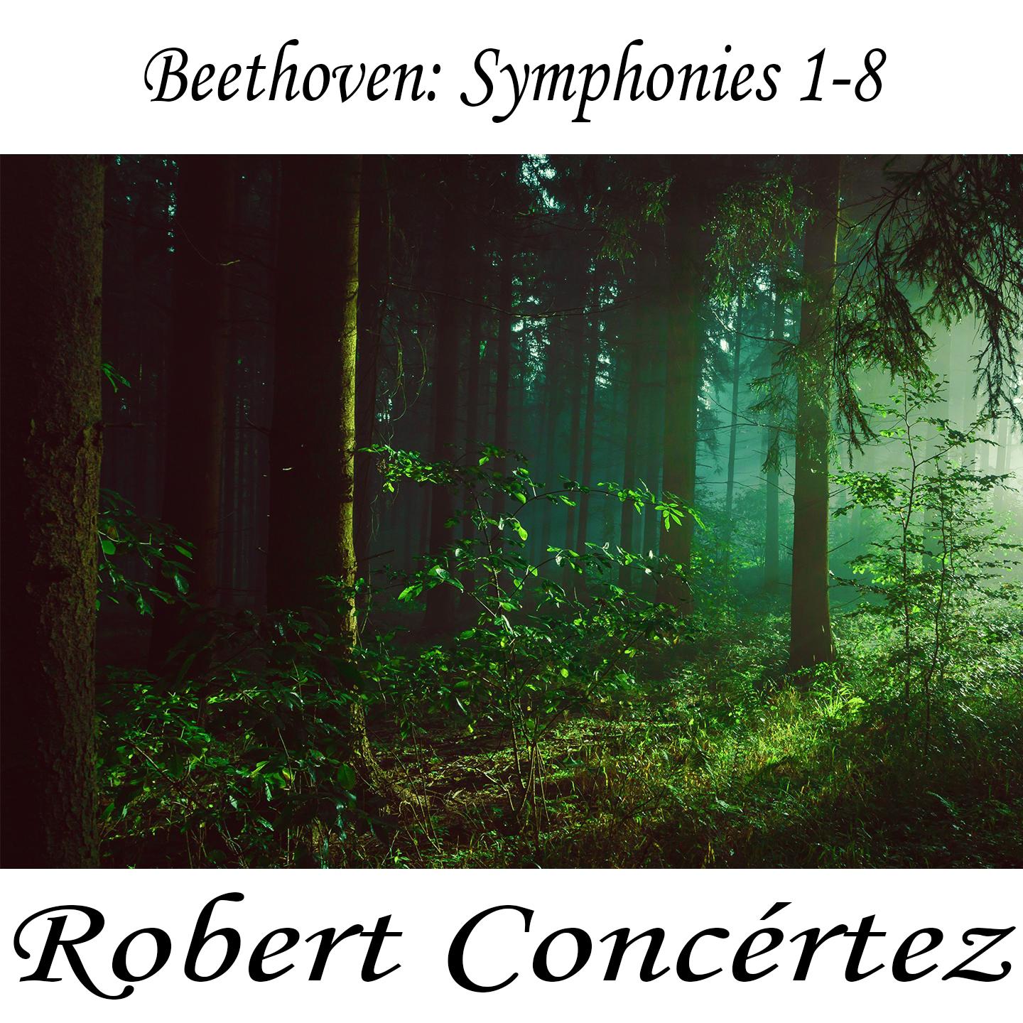 Beethoven: Symphony No- 1 in C Major, Op- 21 I- Adagio molto - Allegro con brio