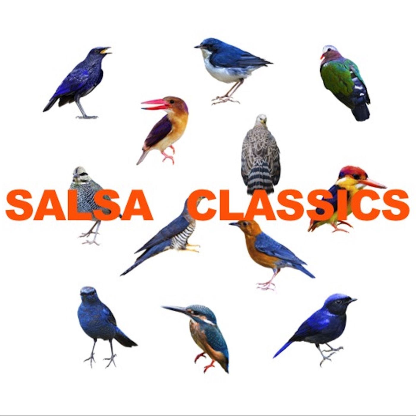 Salsa Classics