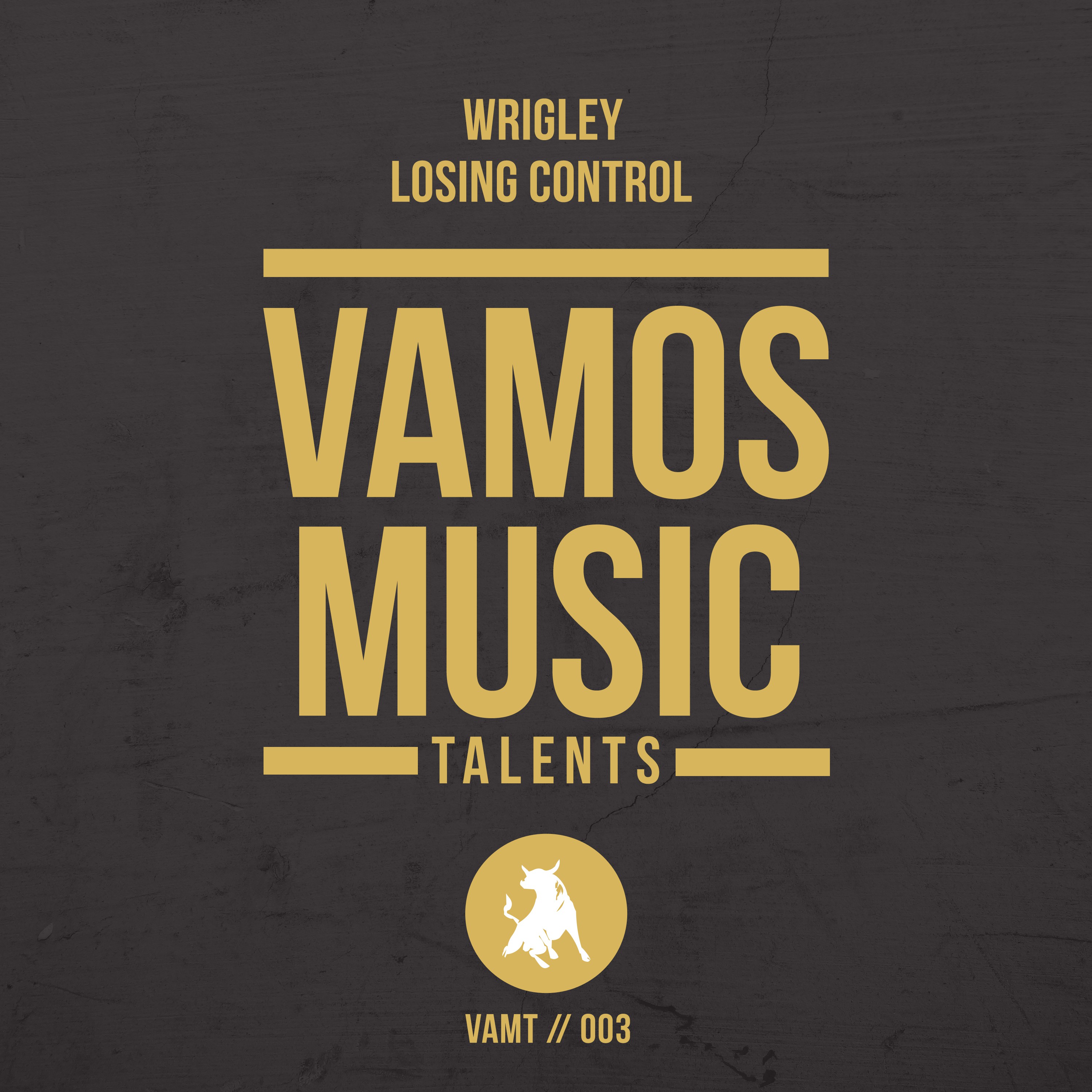 Losing Control (Radio Edit)