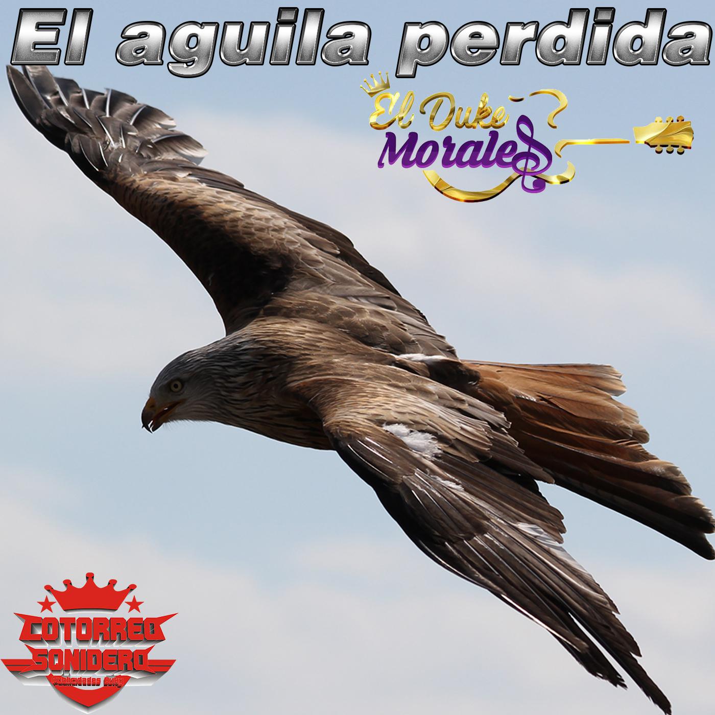 El Águila Perdida