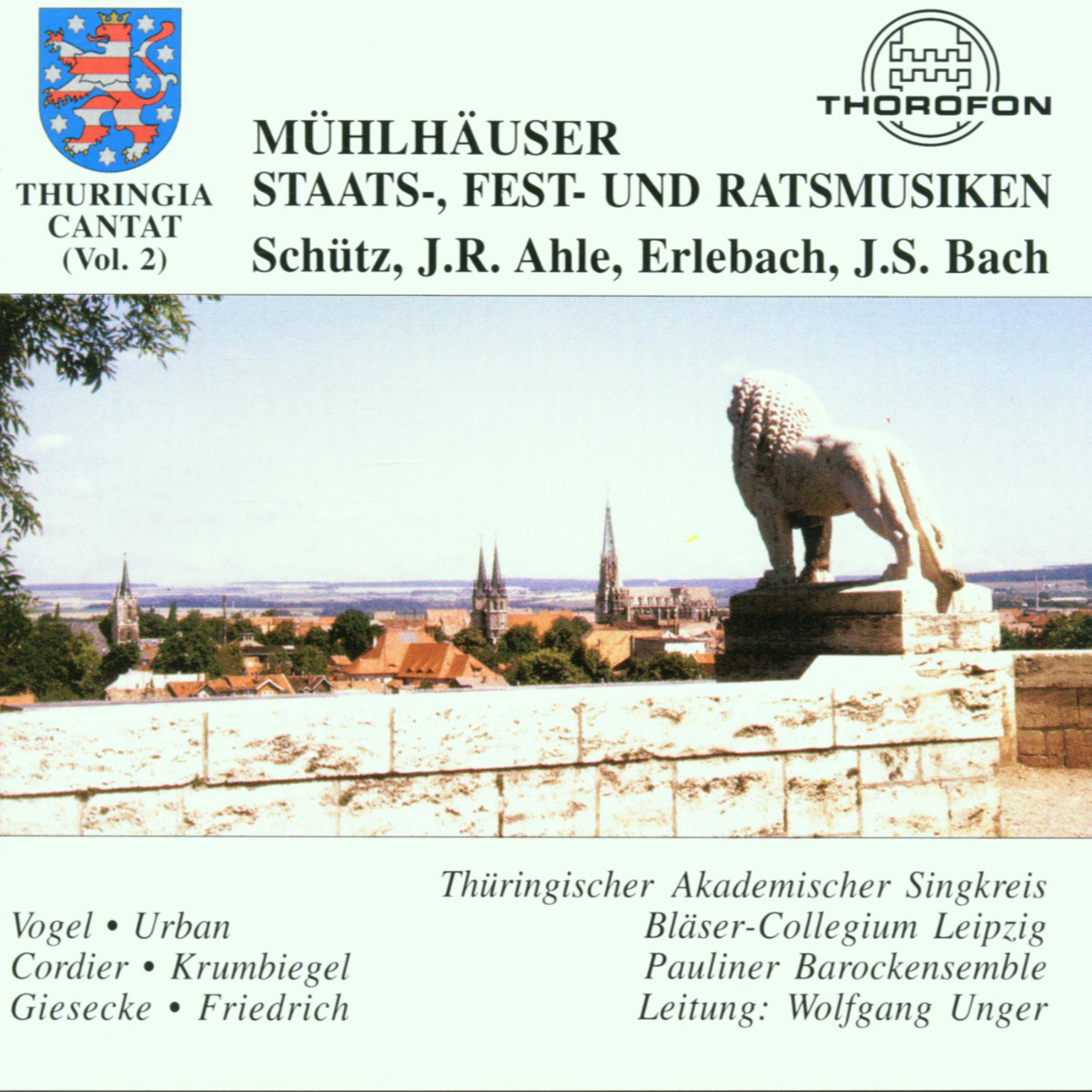 Kantate für Soli, Chor und Orchester, BWV 71, "Gott ist mein König": VI. Du wolltest dem Feinde nicht geben. Larghetto