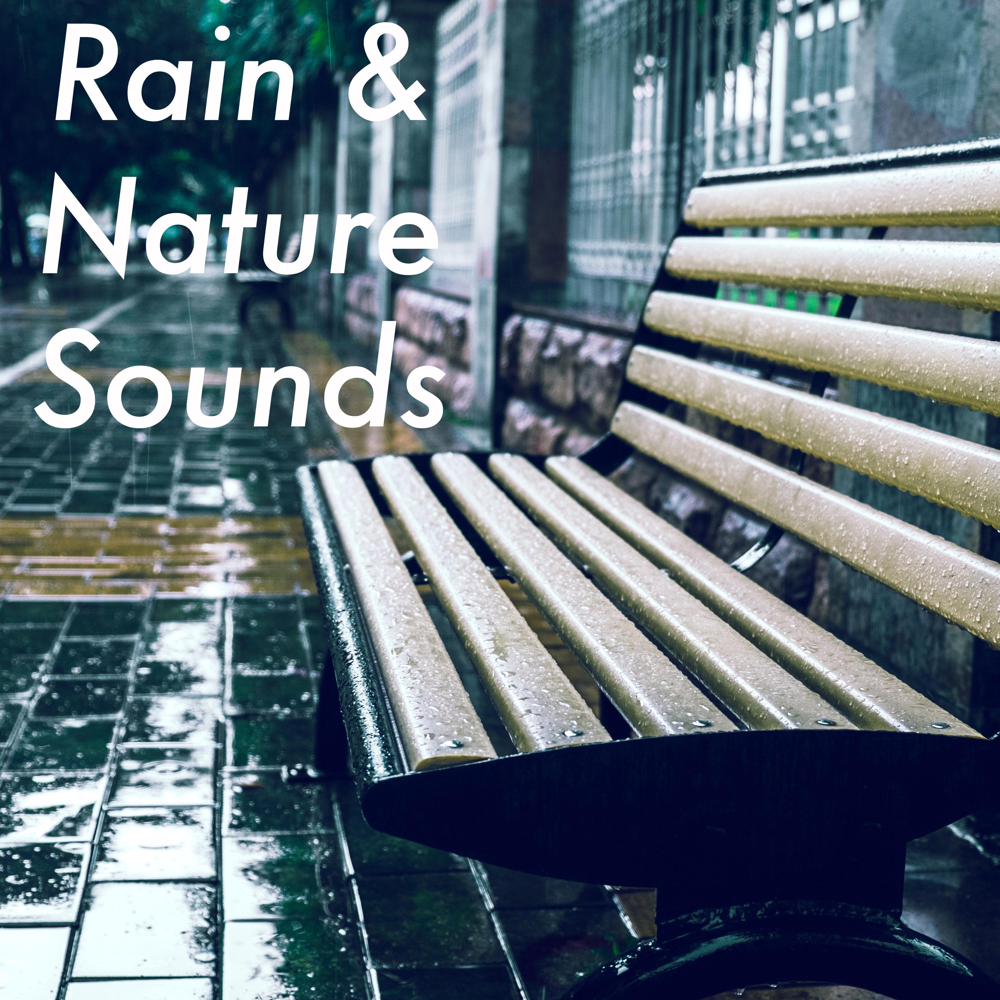 11 Nature Sounds for Ultimate Zen. White Noise Research Music