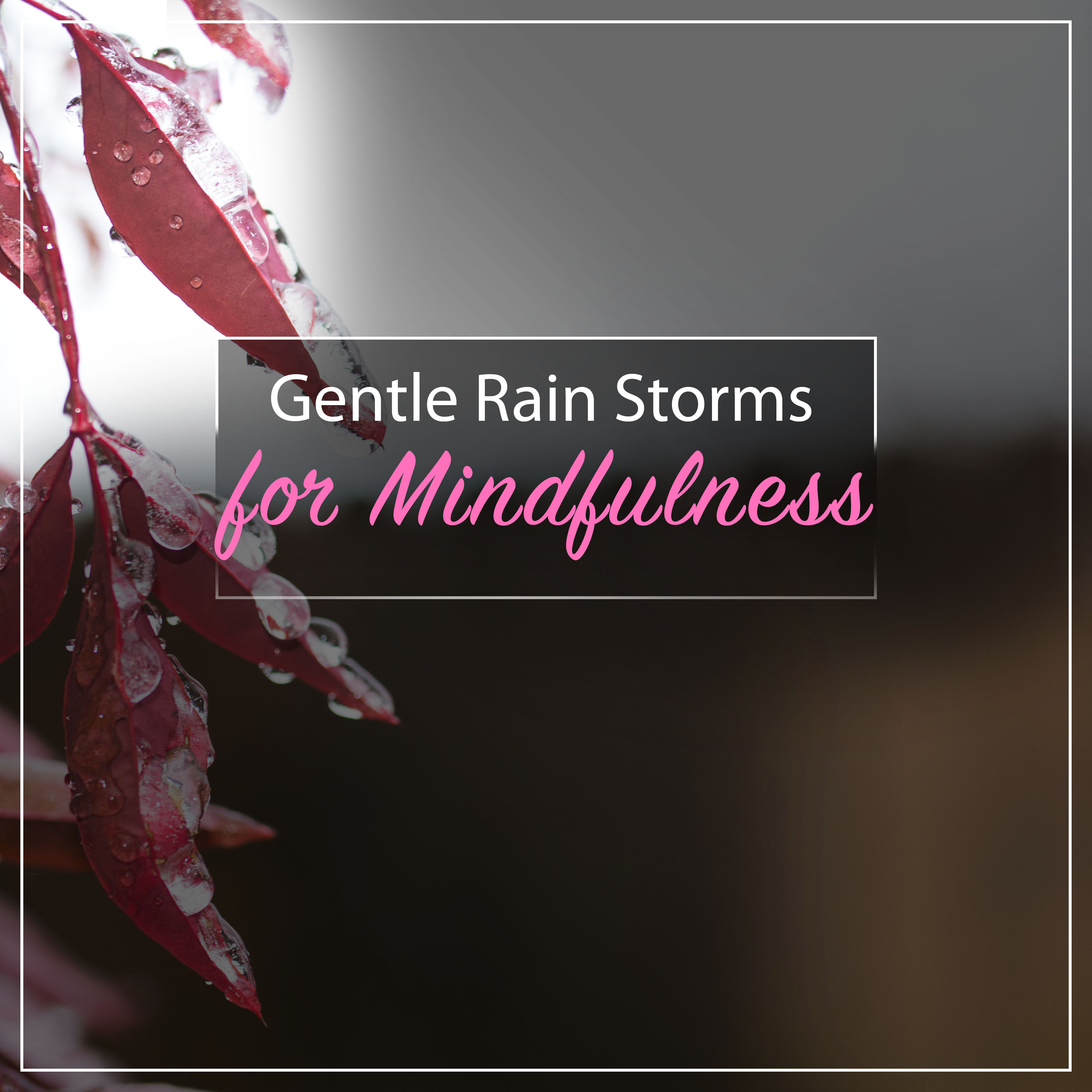 1 Hour Gentle Rain Storms for Mindfulness