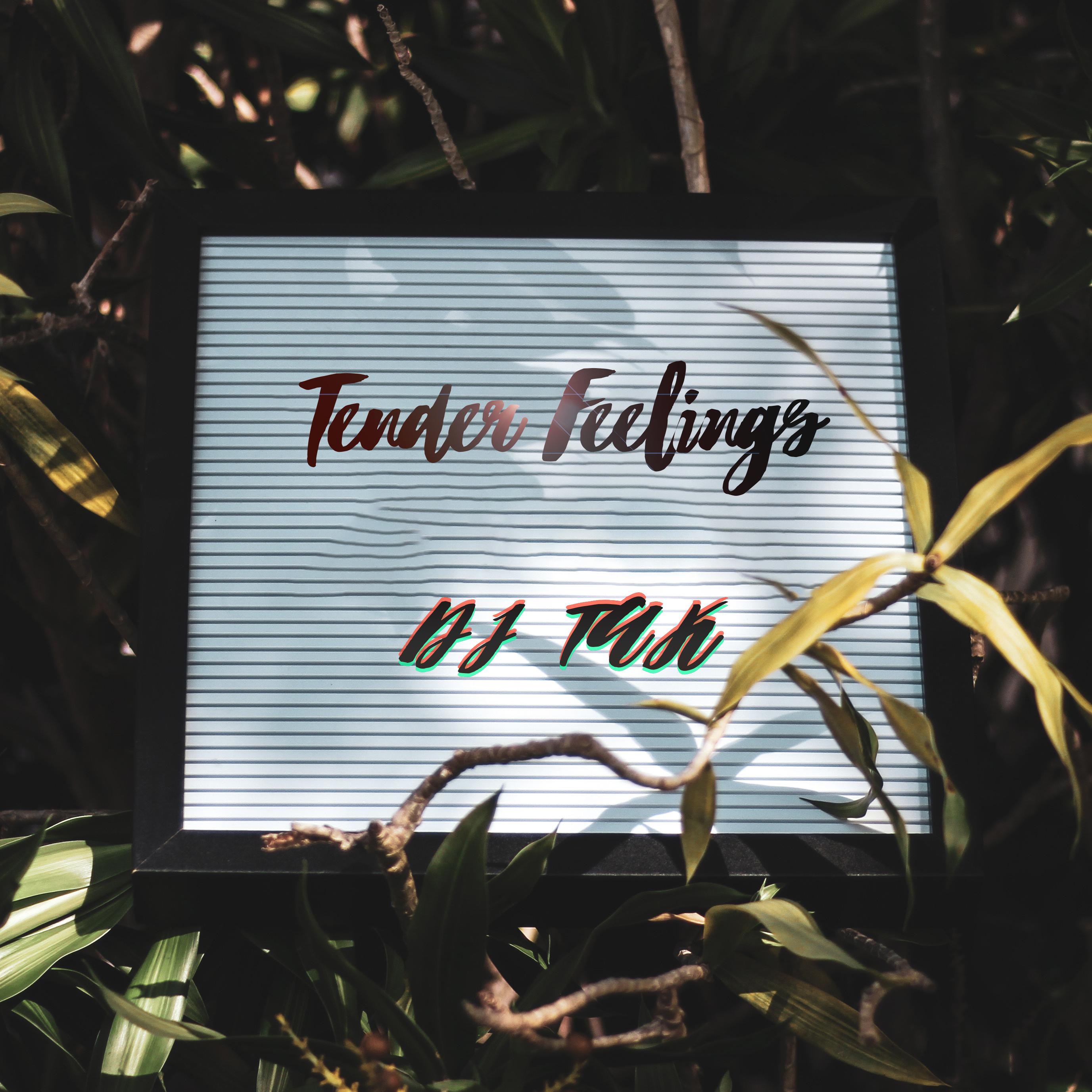 Tender Feelings（DJ TAK）