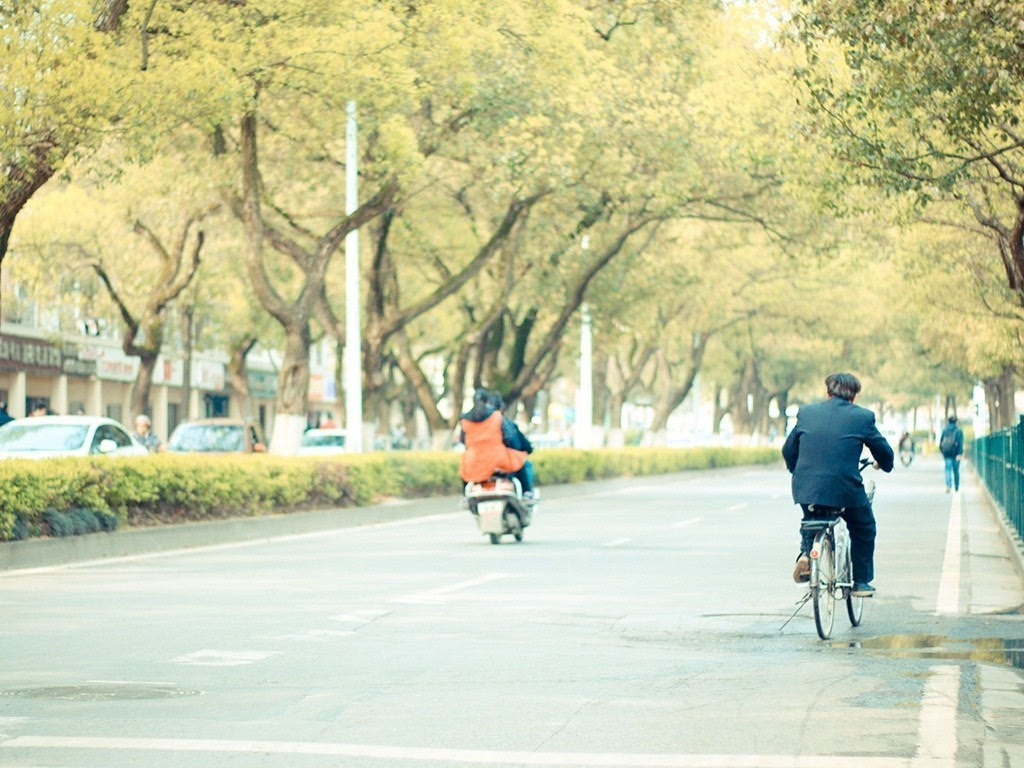 麓山南路的想念