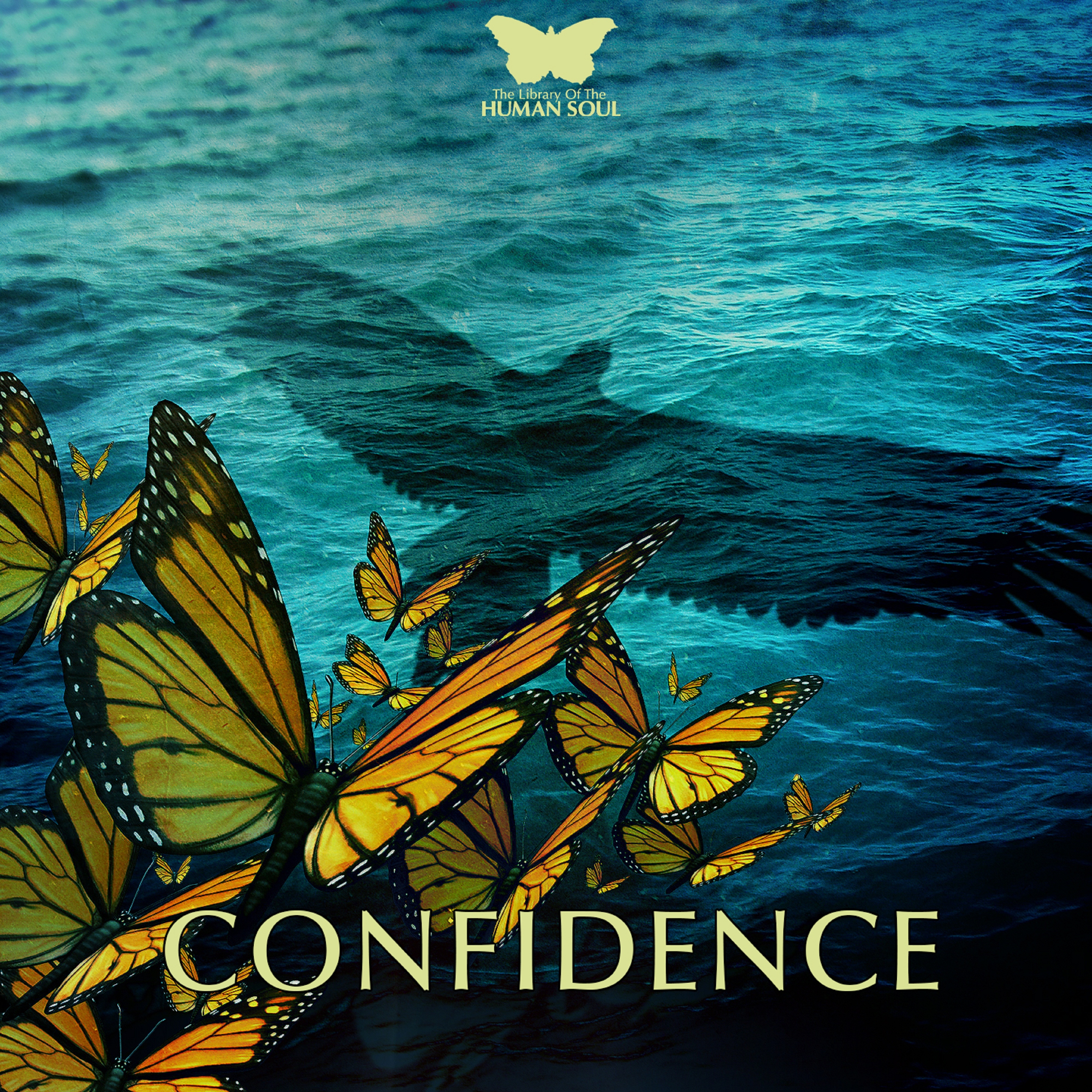 Confidence