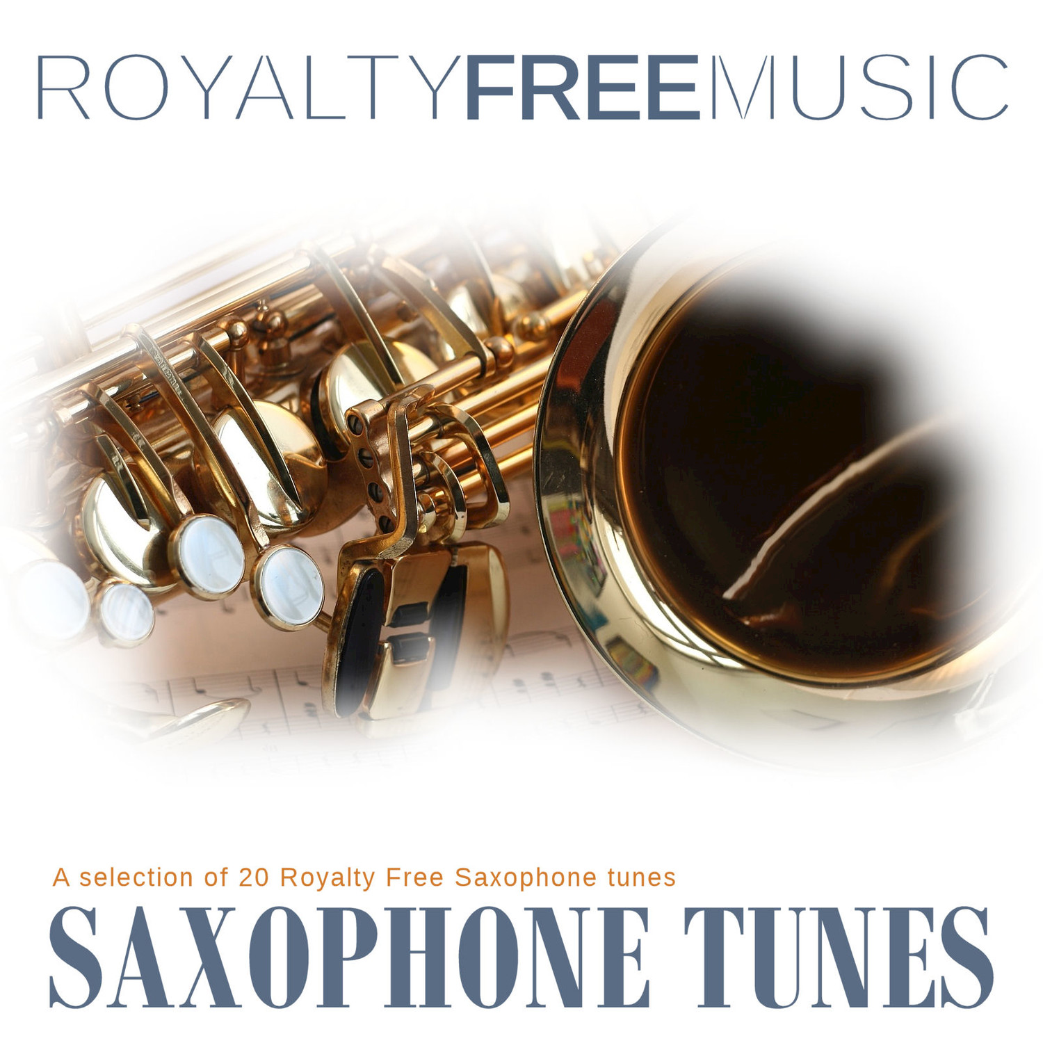 Shrill Saxophone Solo (Instrumental)