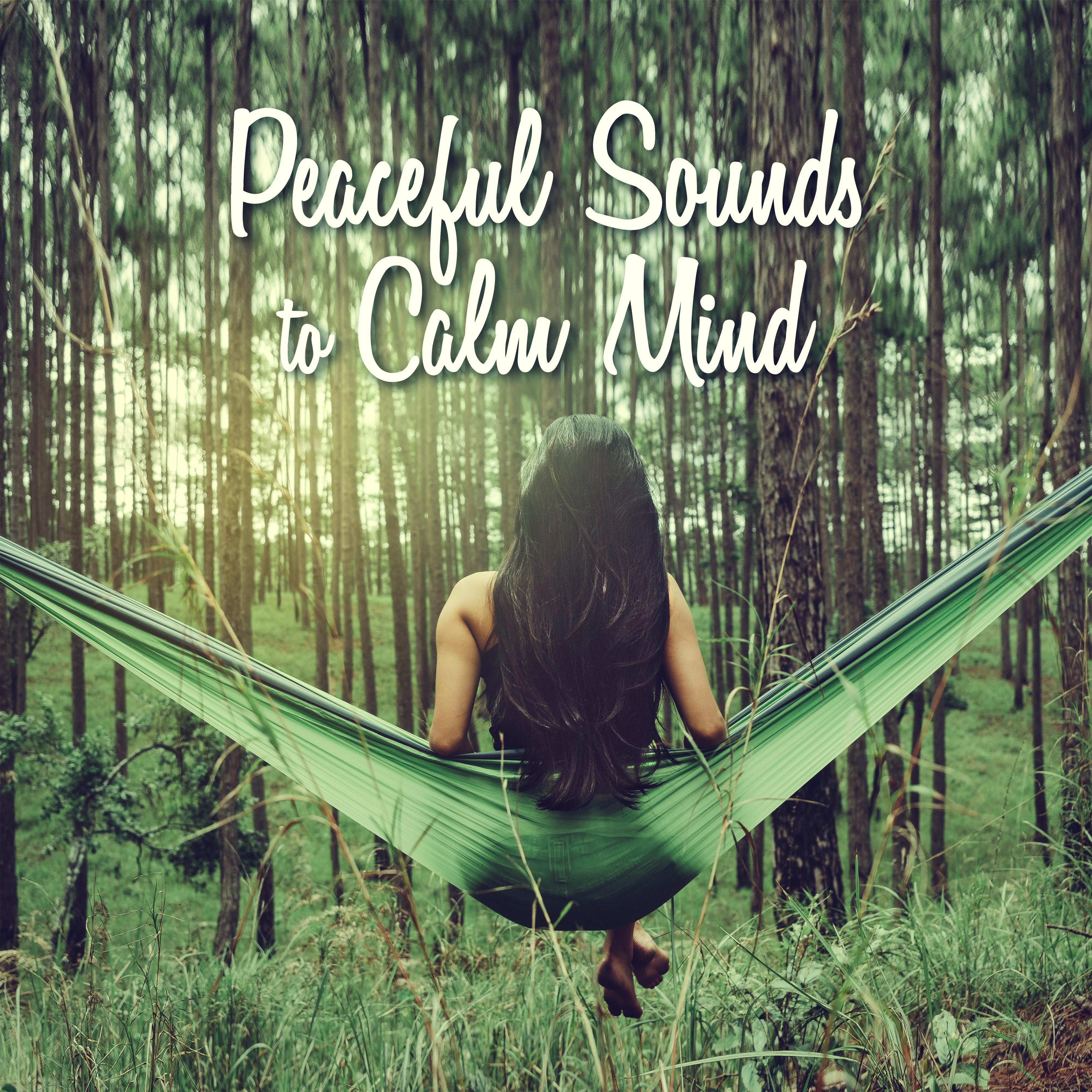 Peaceful Sounds to Calm Mind – Easy Listening New Age Songs, Soothing Melodies for Relaxation, Mind & Body Rest