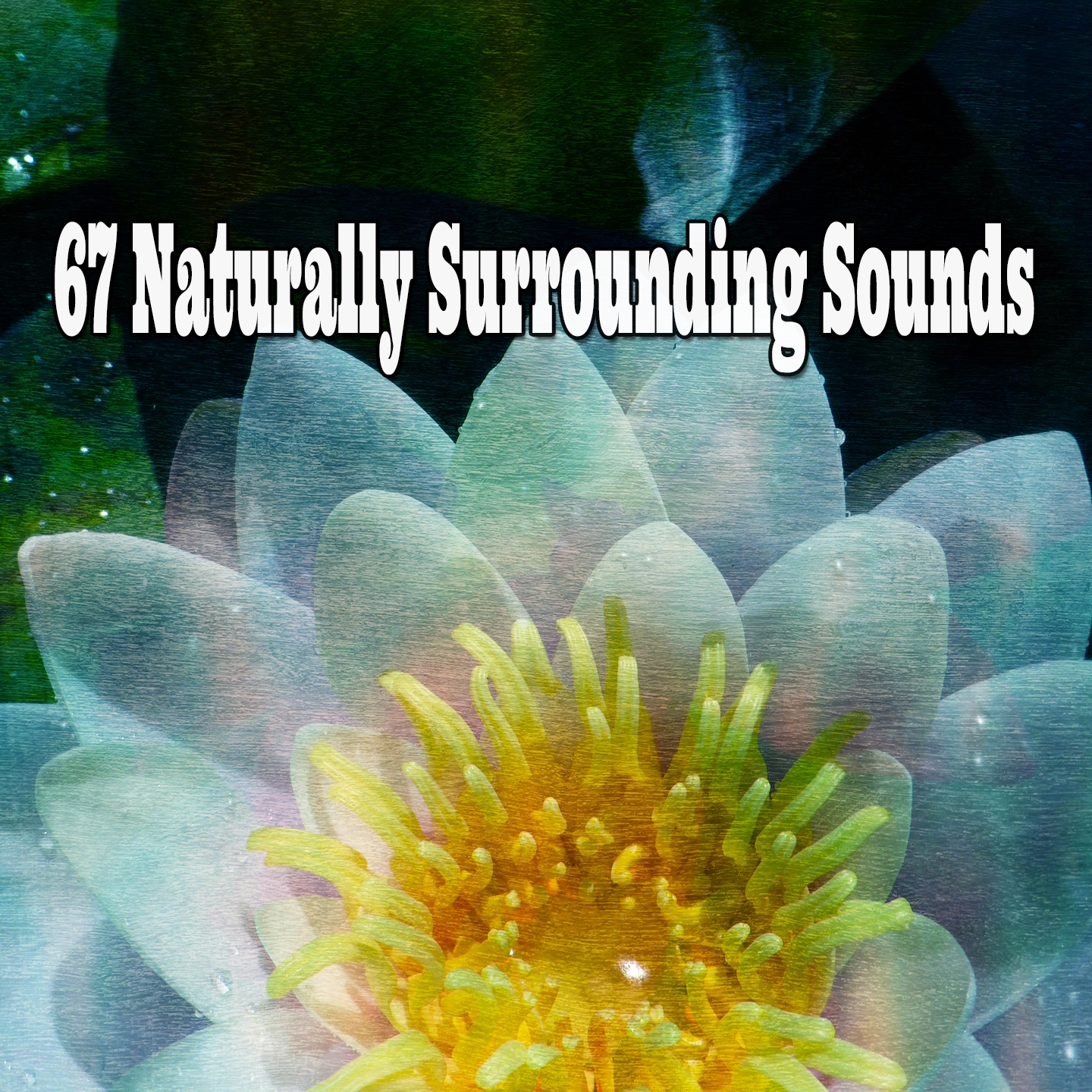 67 Naturally Surrounding Sounds