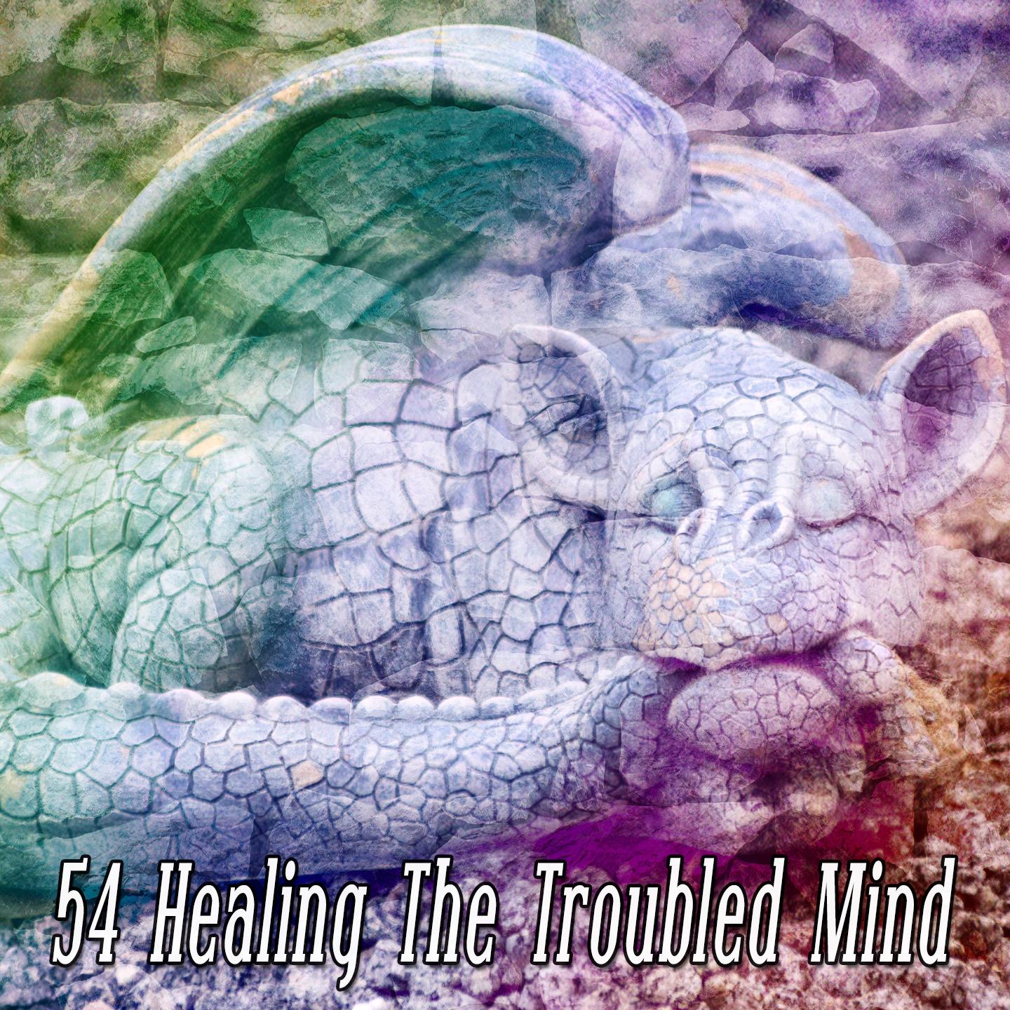 54 Healing The Troubled Mind