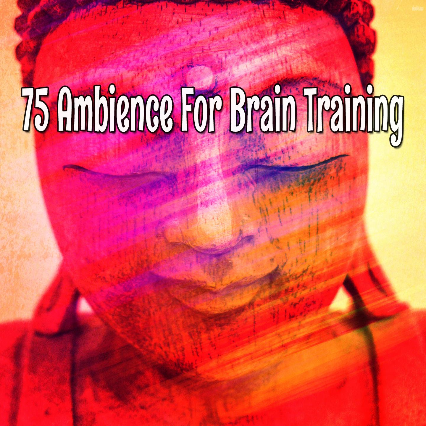 75 Ambience For Brain Training