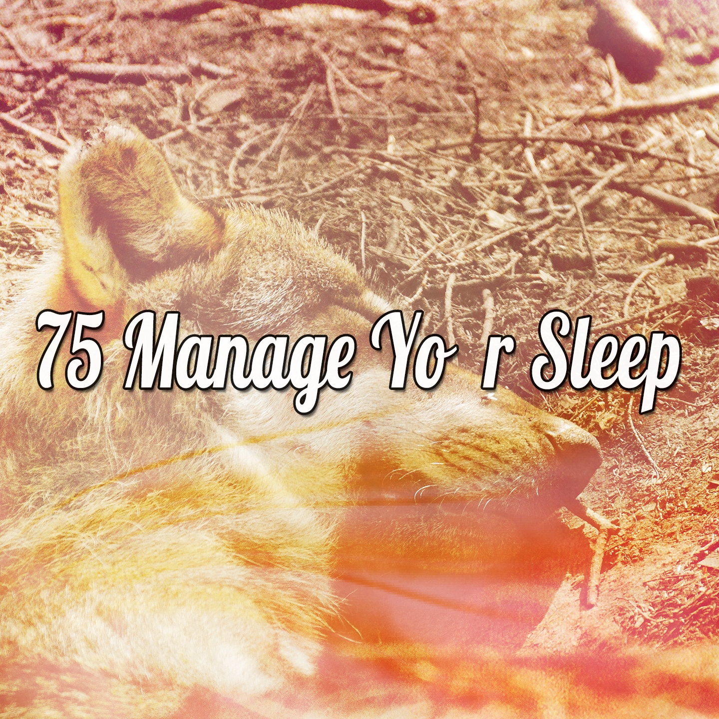 75 Manage Your Sleep