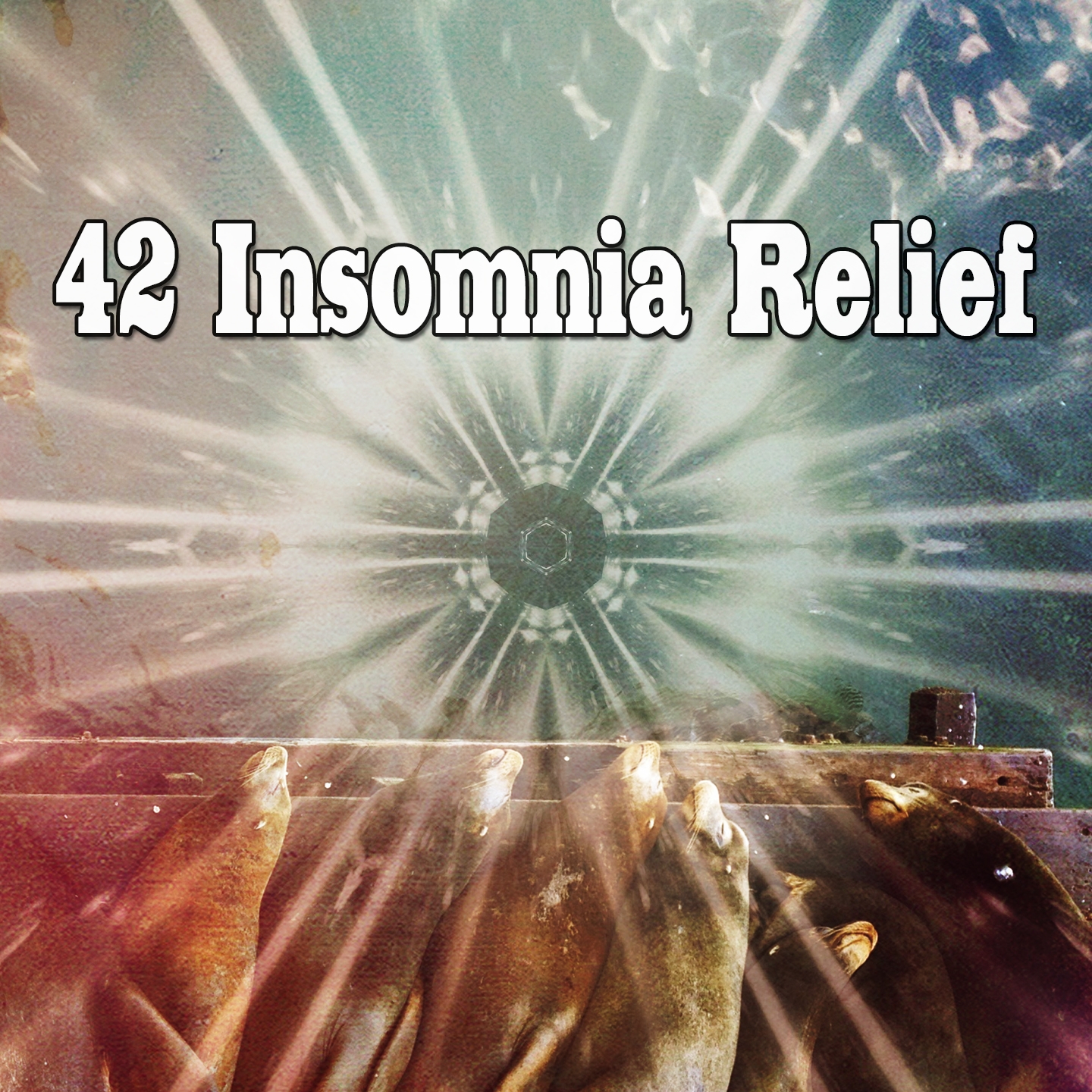 42 Insomnia Relief