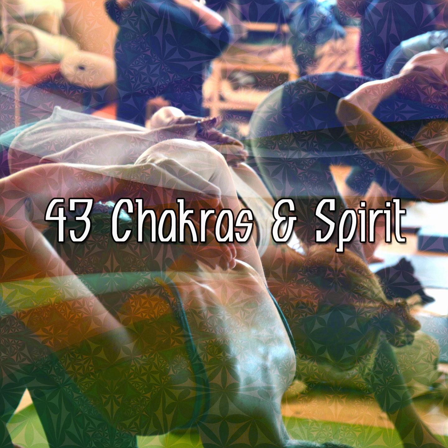 43 Chakras & Spirit
