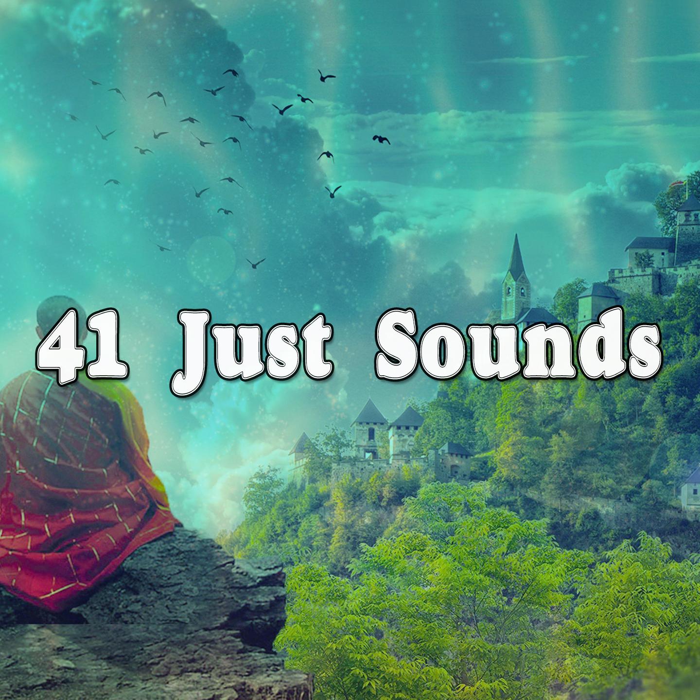 41 Just Sounds