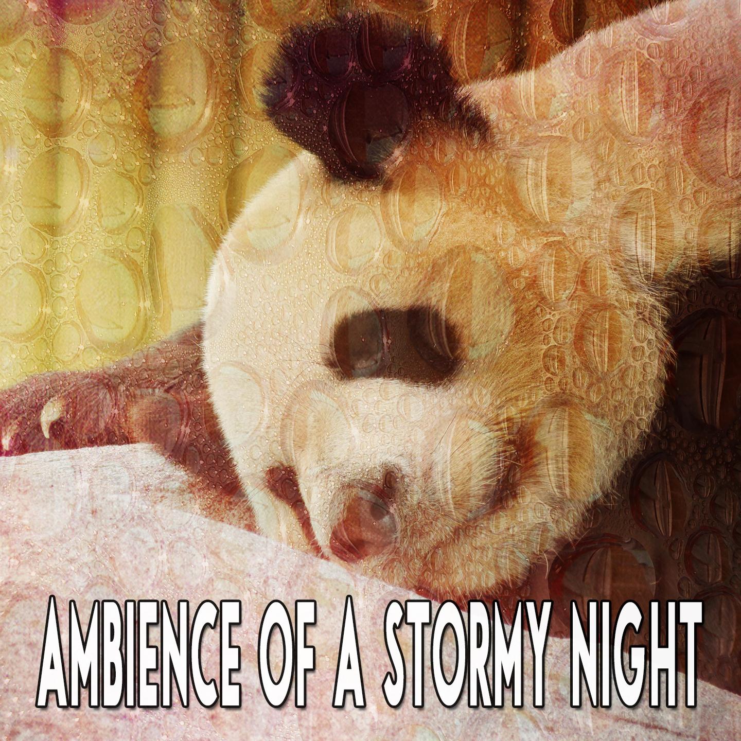 Ambience Of A Stormy Night