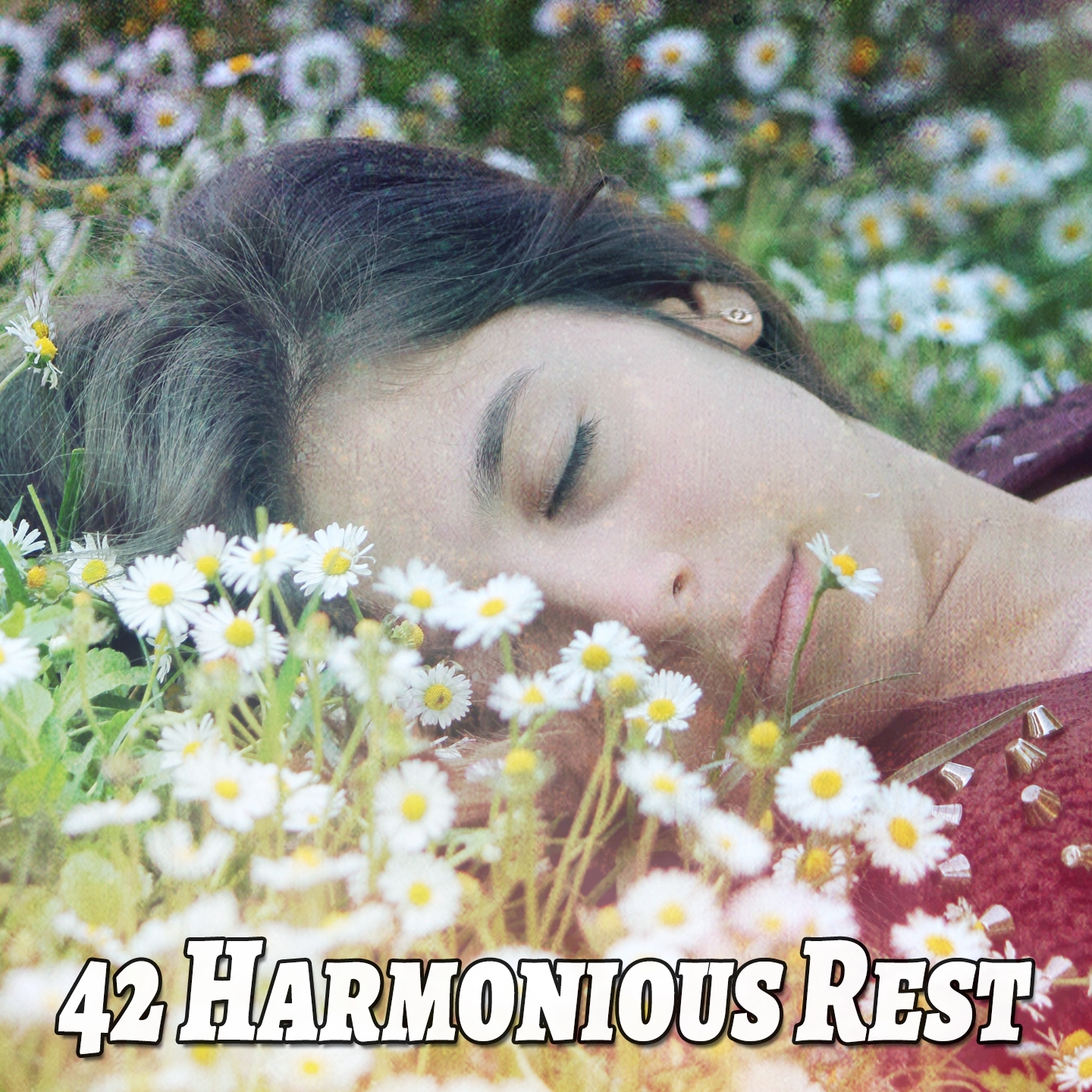 42 Harmonious Rest