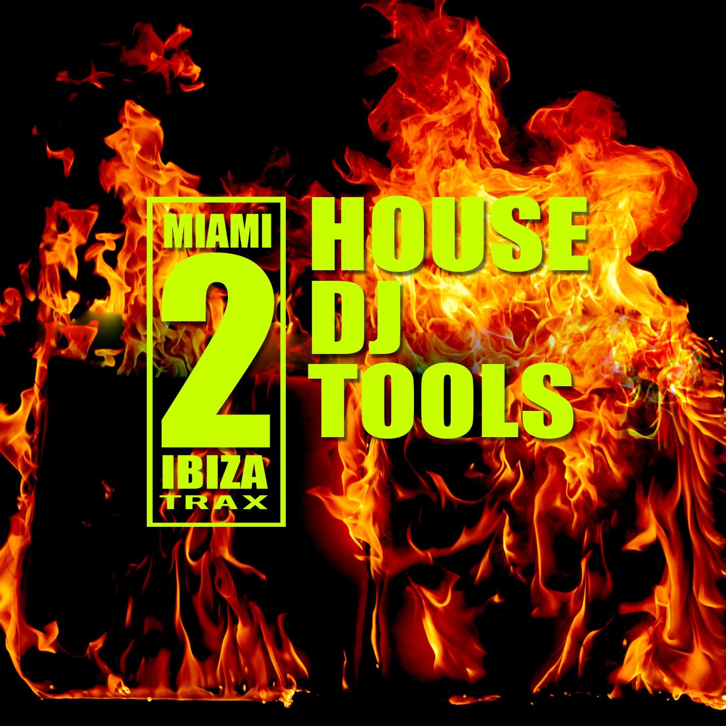 House Effect (DJ Tool)