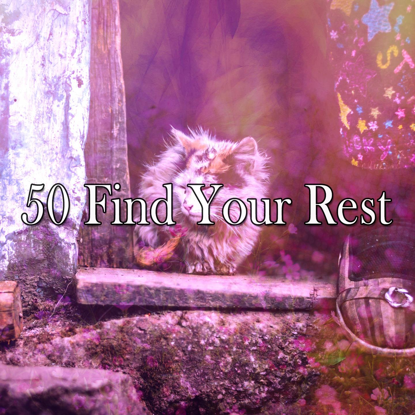 50 Find Your Rest