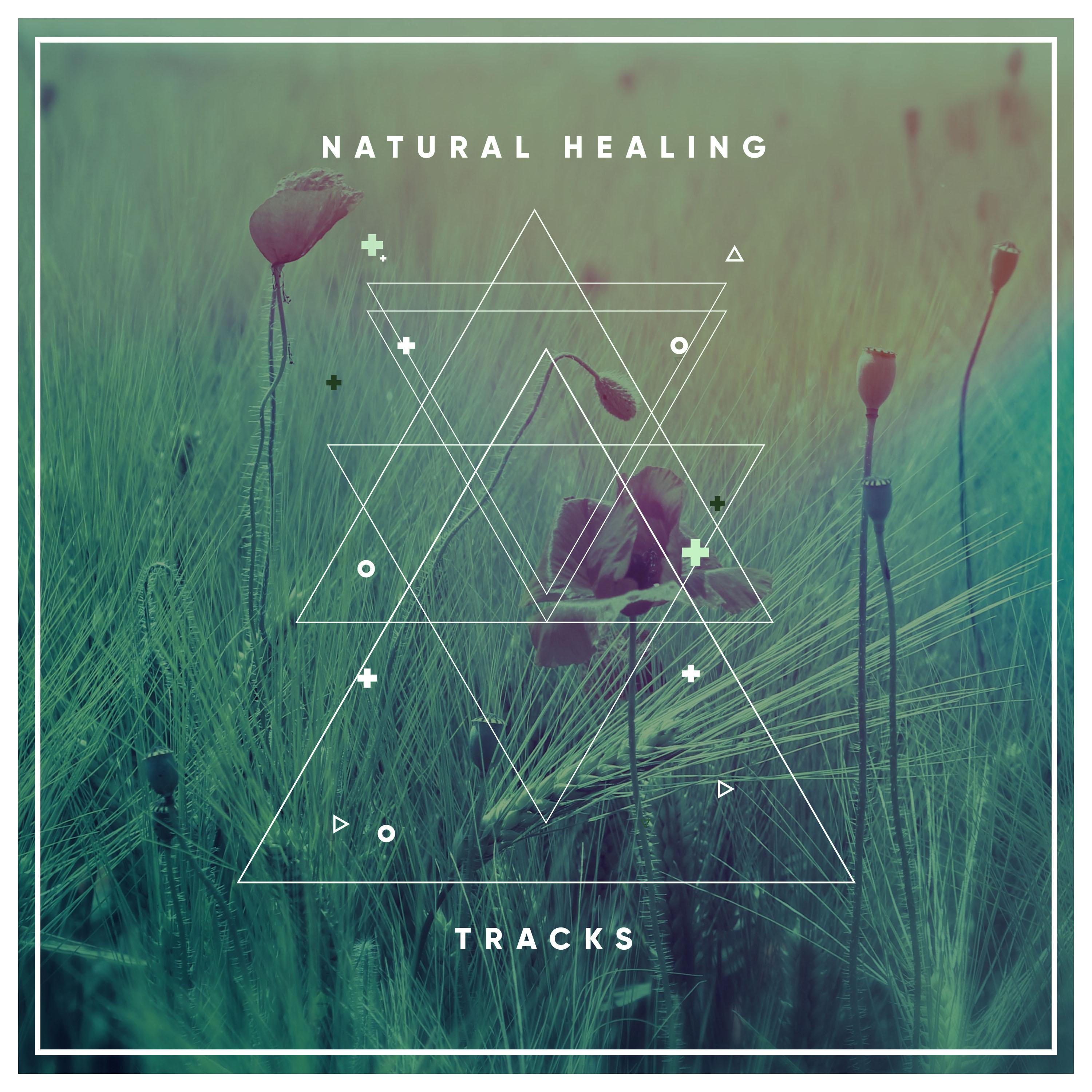19 Natural Healing Tracks