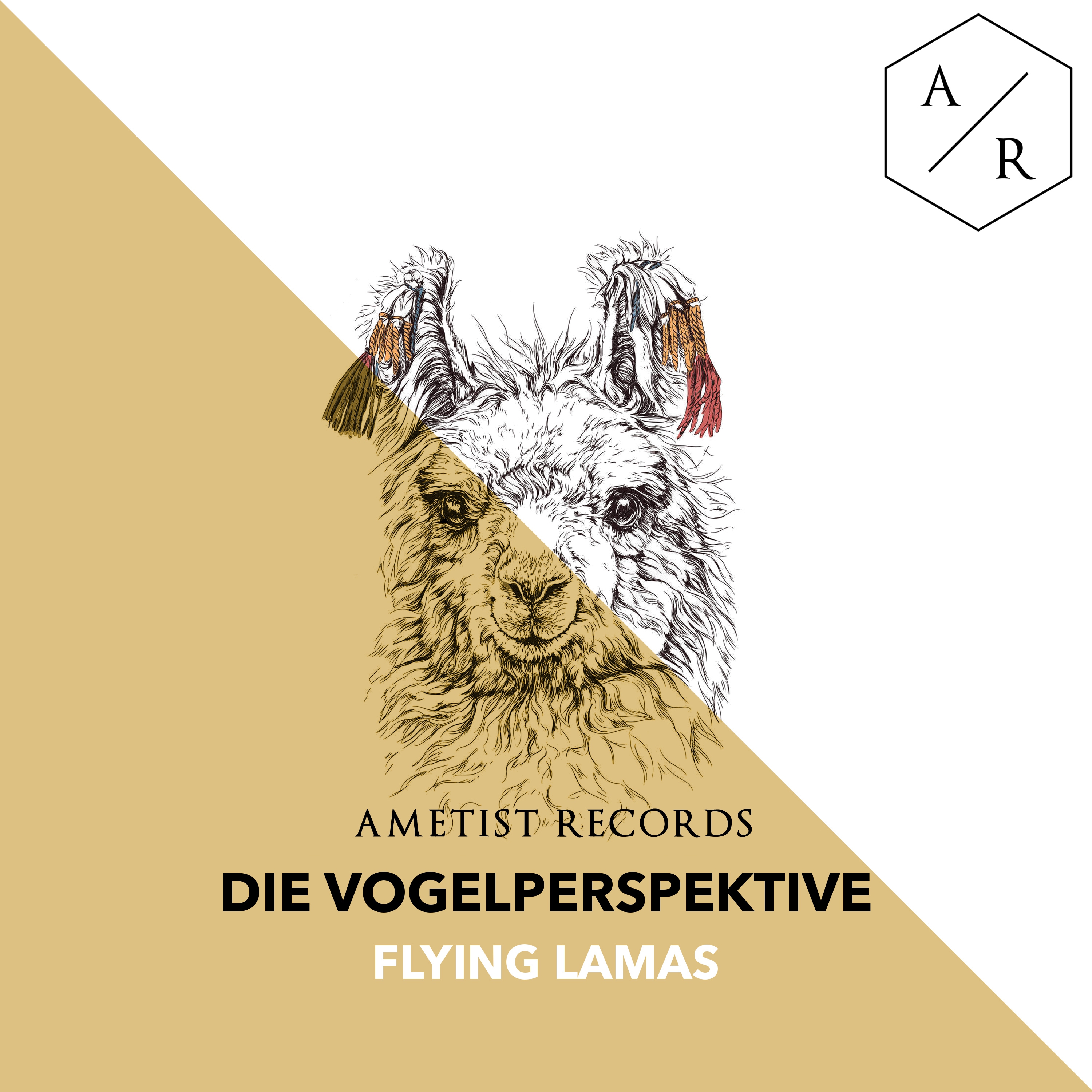 Flying Lamas