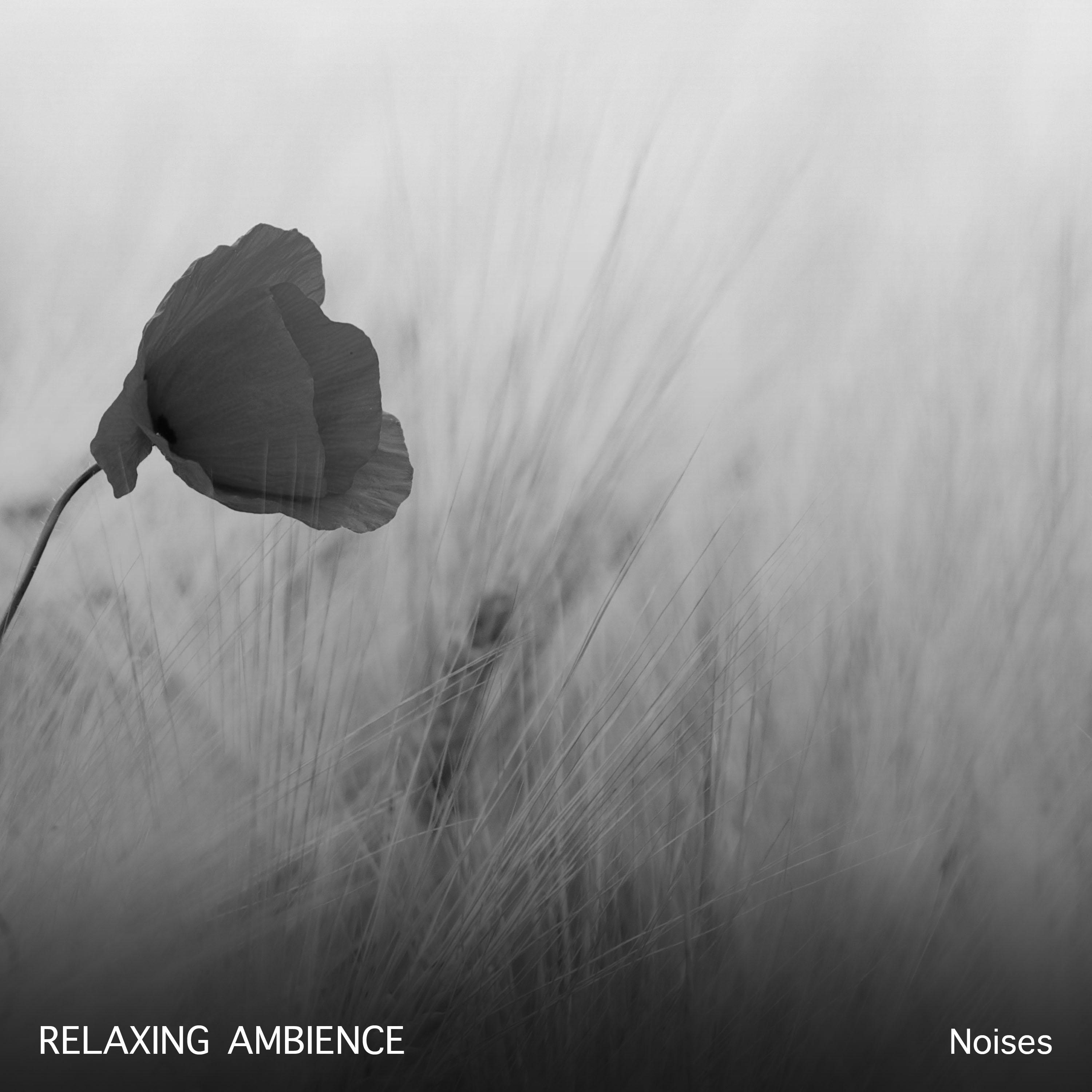 19 Relaxing Ambience Noises for Relaxation Therapy