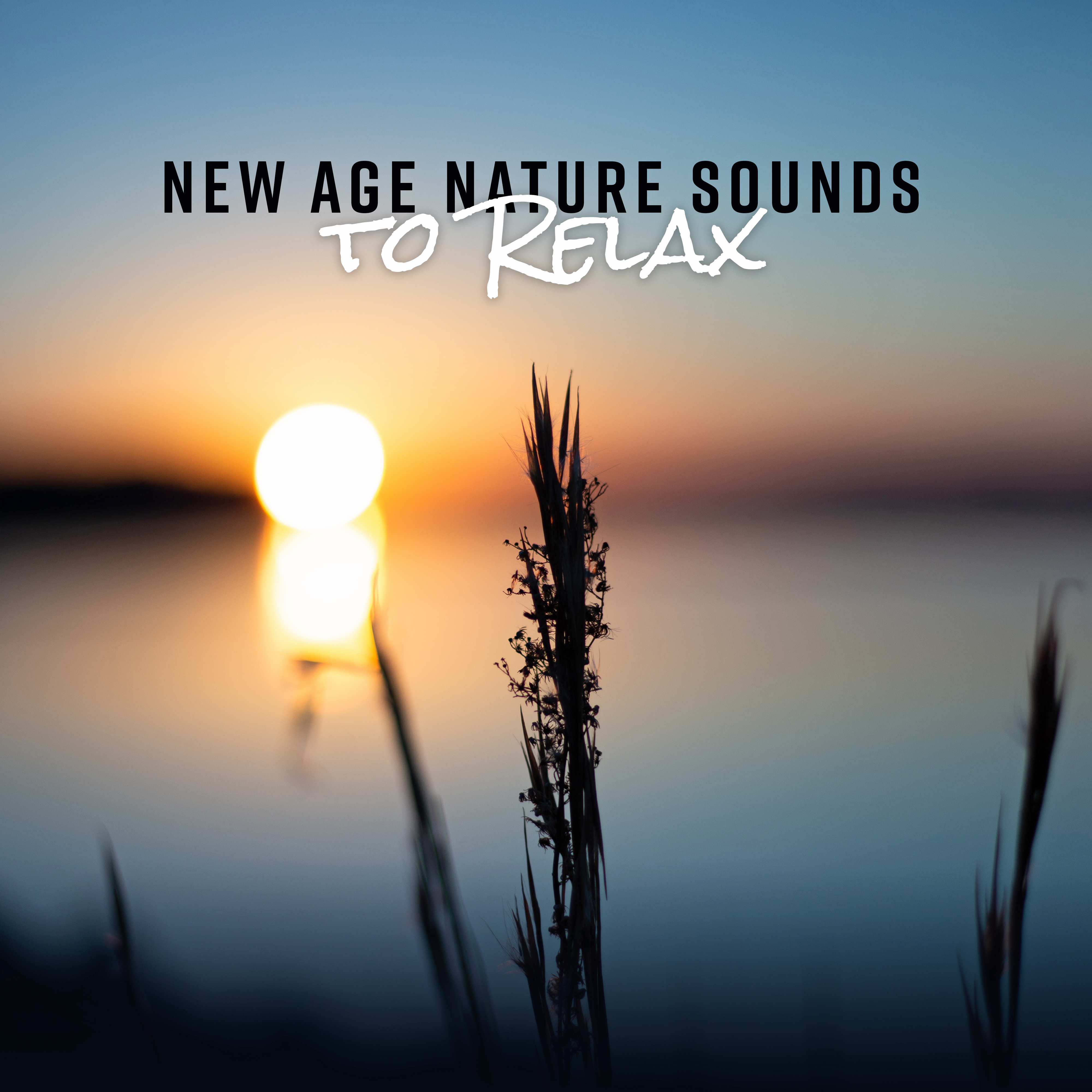 New Age Nature Sounds to Relax
