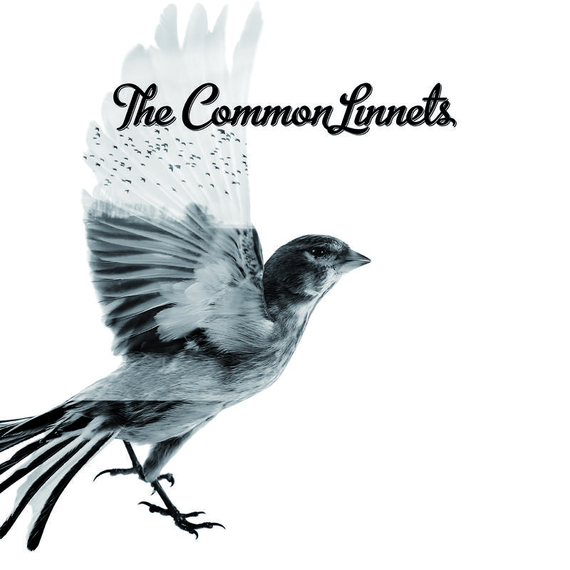 The Common Linnets (Special Edition)