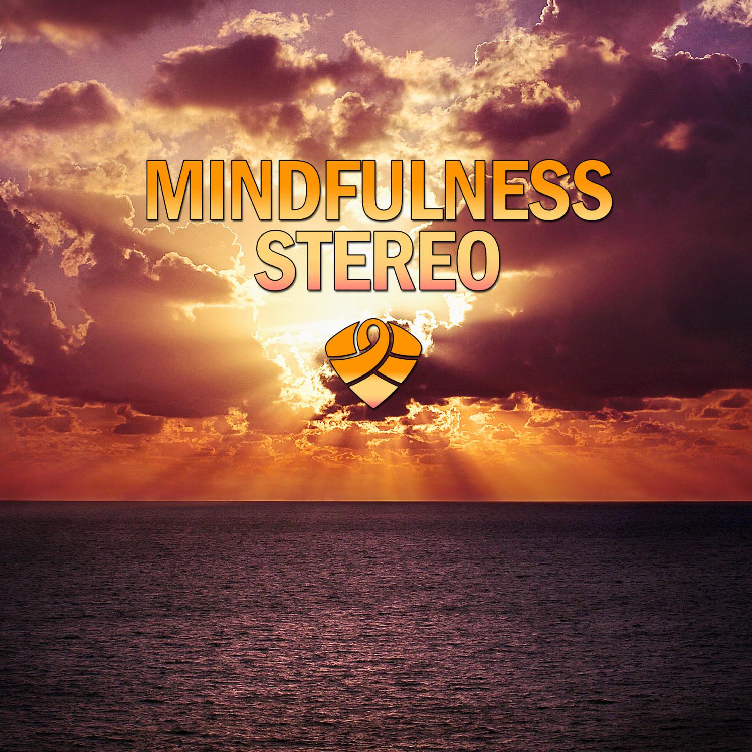 Mindfulness Stereo, Vol. 8