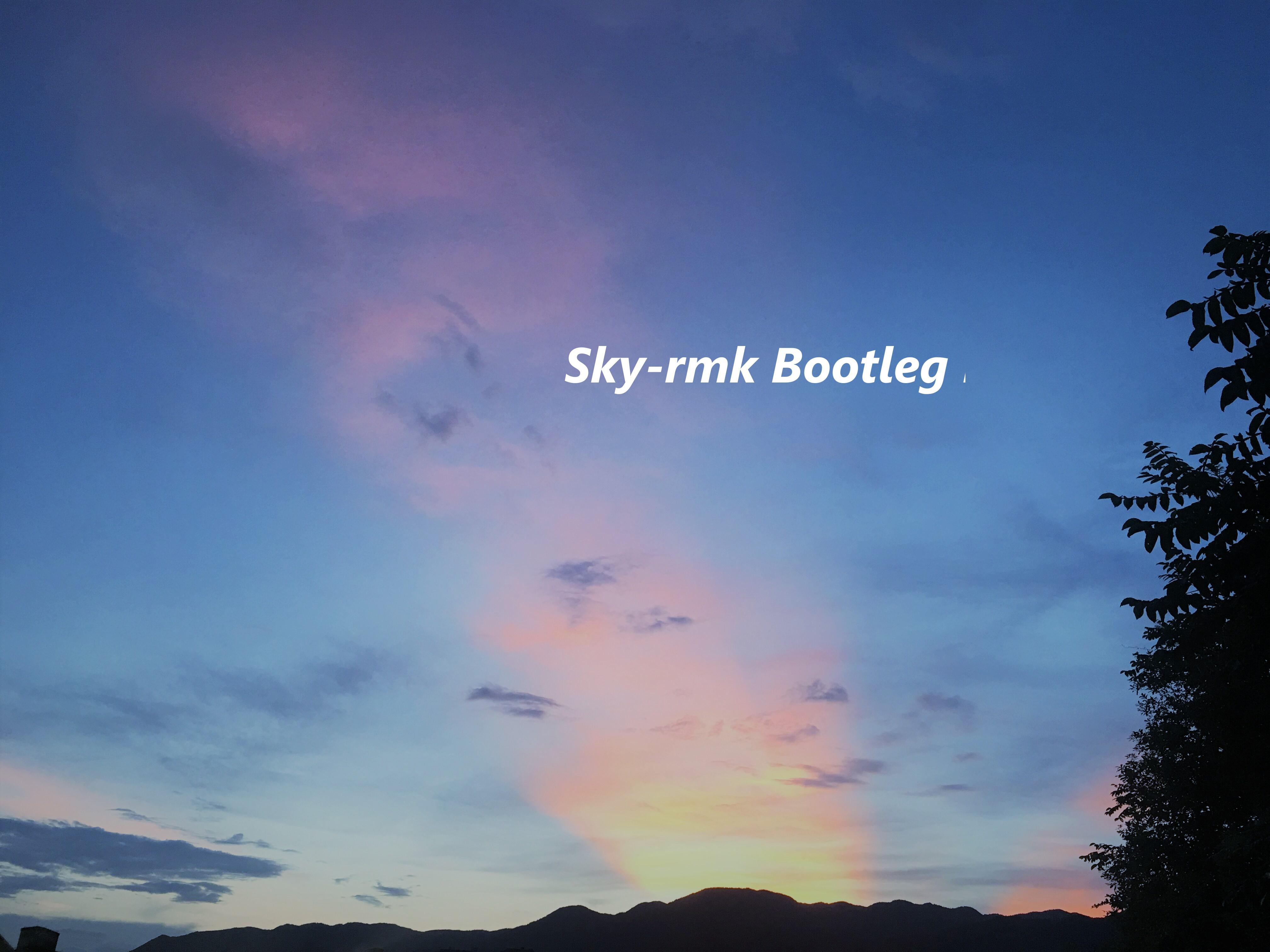 Sky（Bootleg remix）