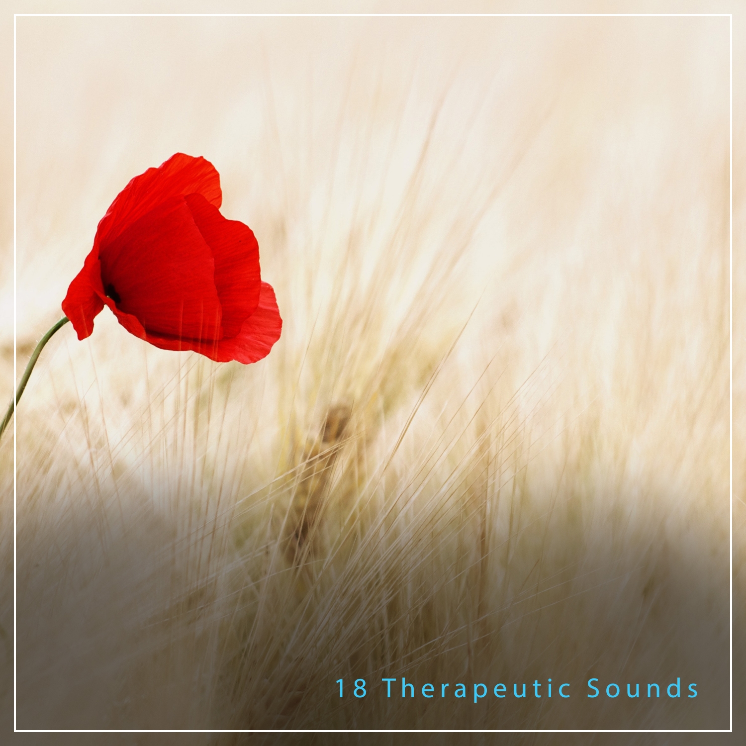 18 Therapeutic Sounds For Perfect Meditation