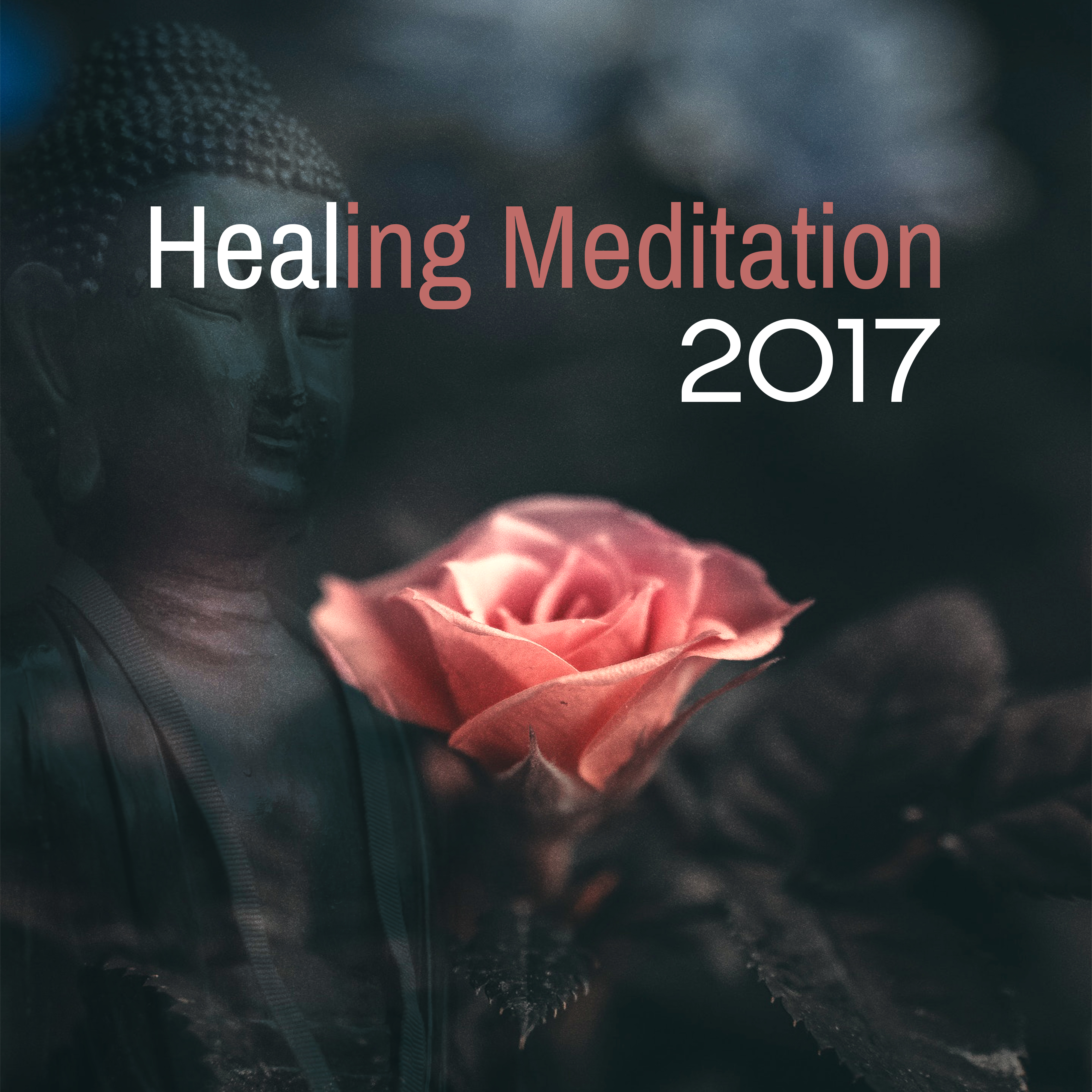 Healing Meditation 2017