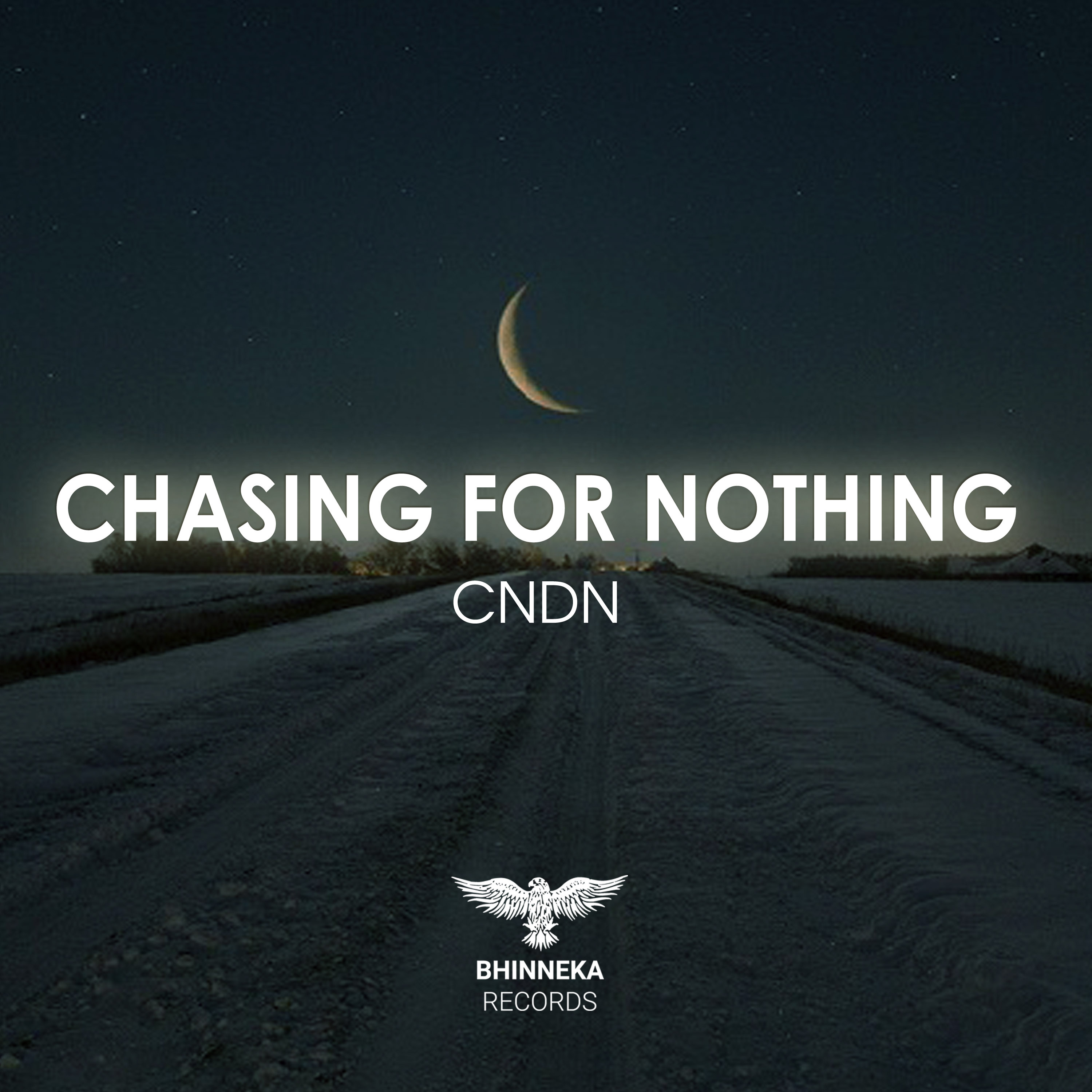 Chasing For Nothing