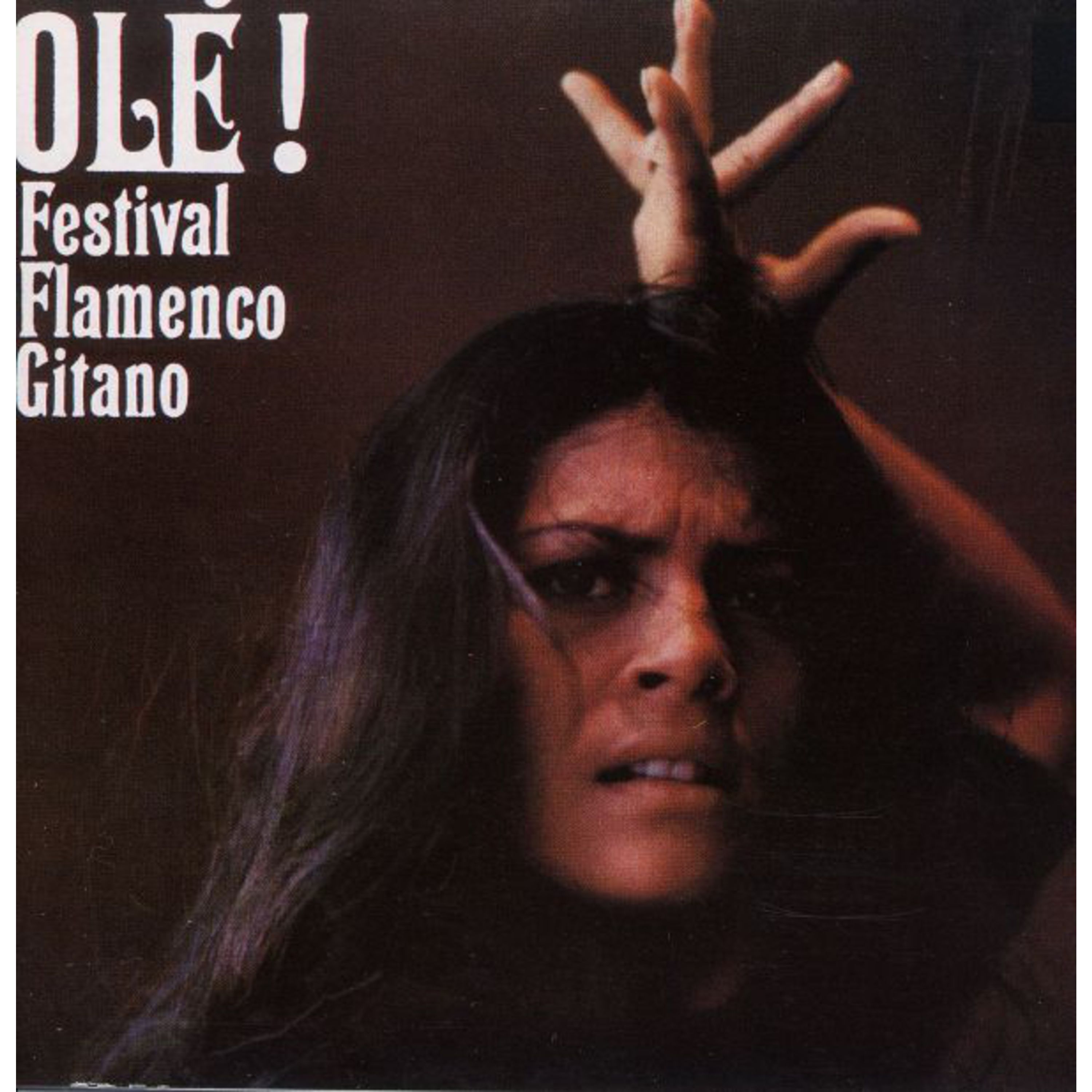 Festival Flamenco Gitano (Olé!)