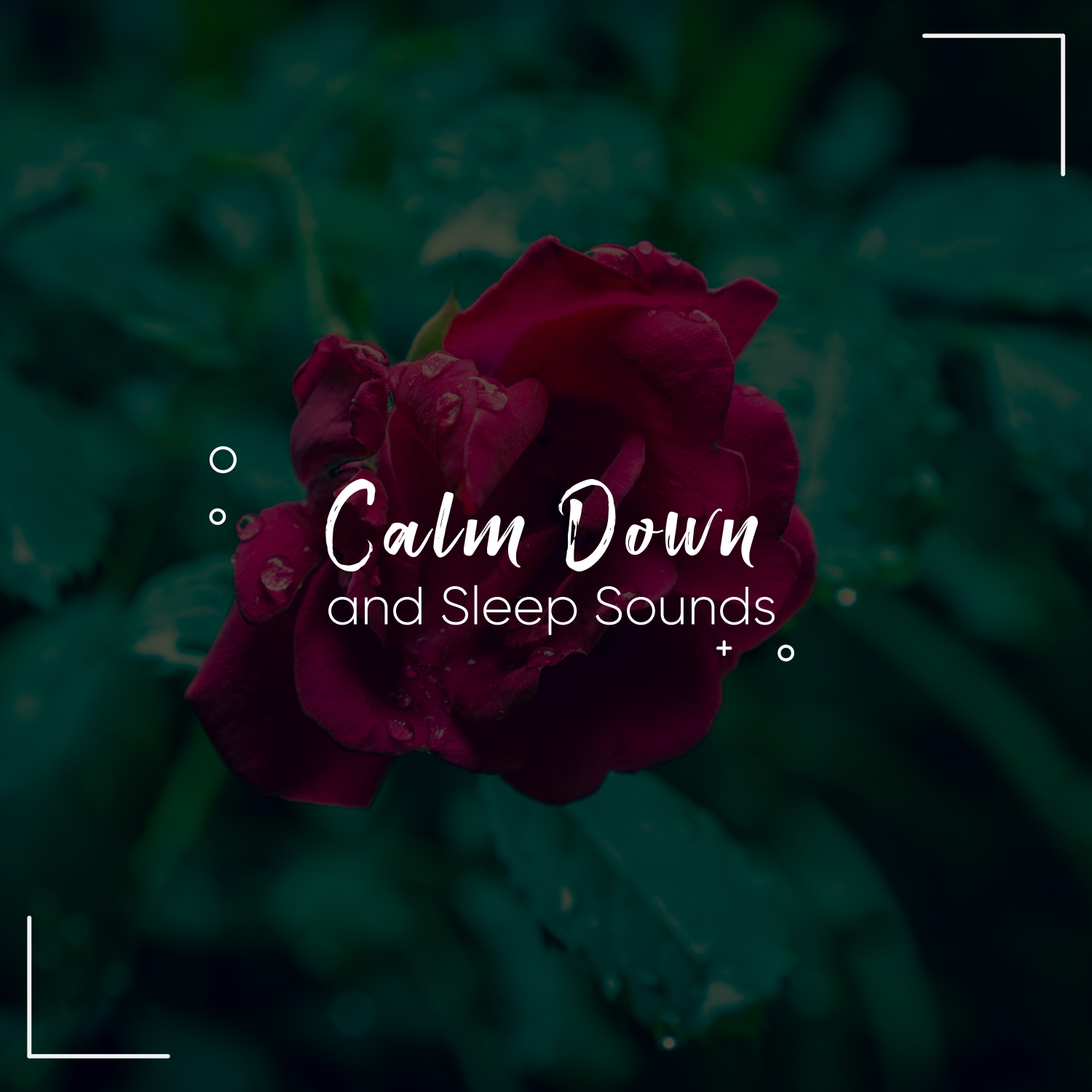 10 Tracks to Help You Calm Down and Relax