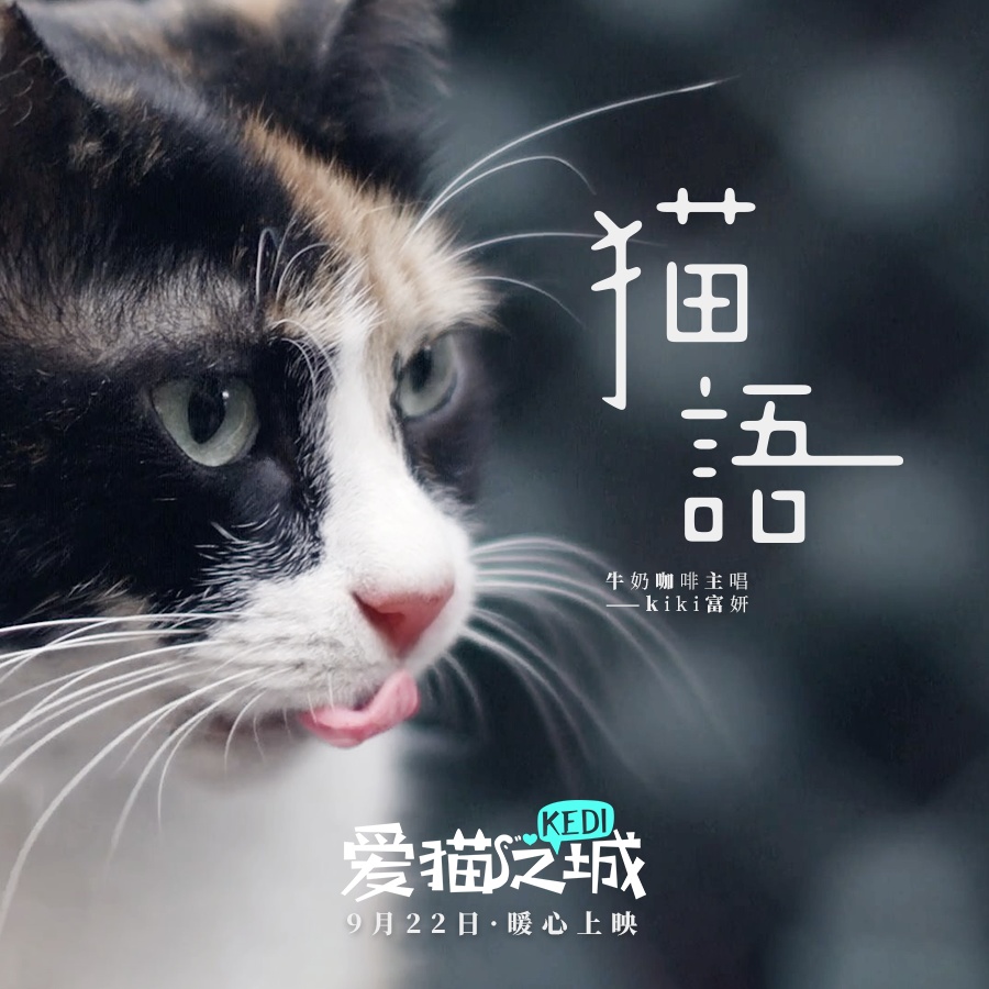 猫语 (伴奏)