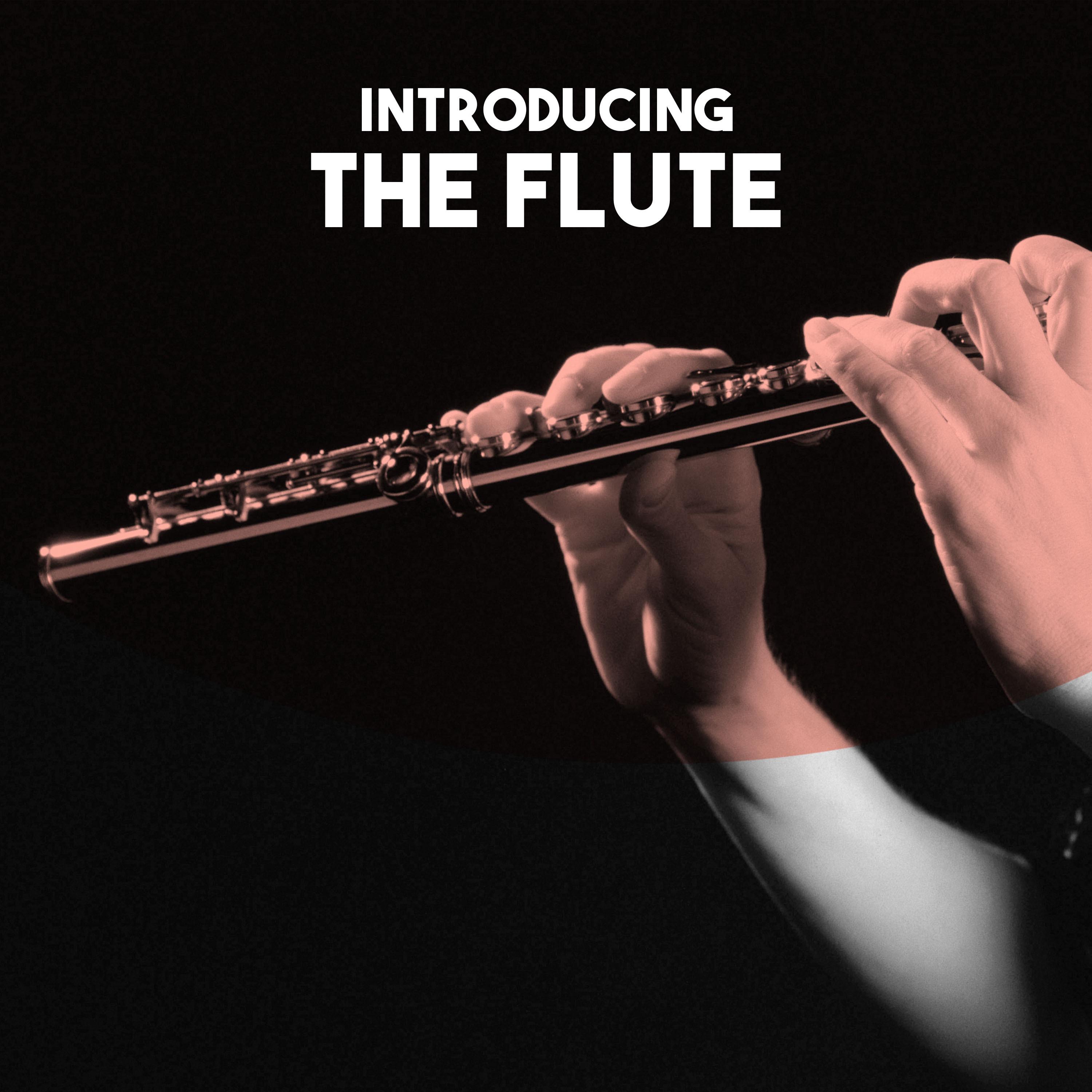 Introducing: The Flute