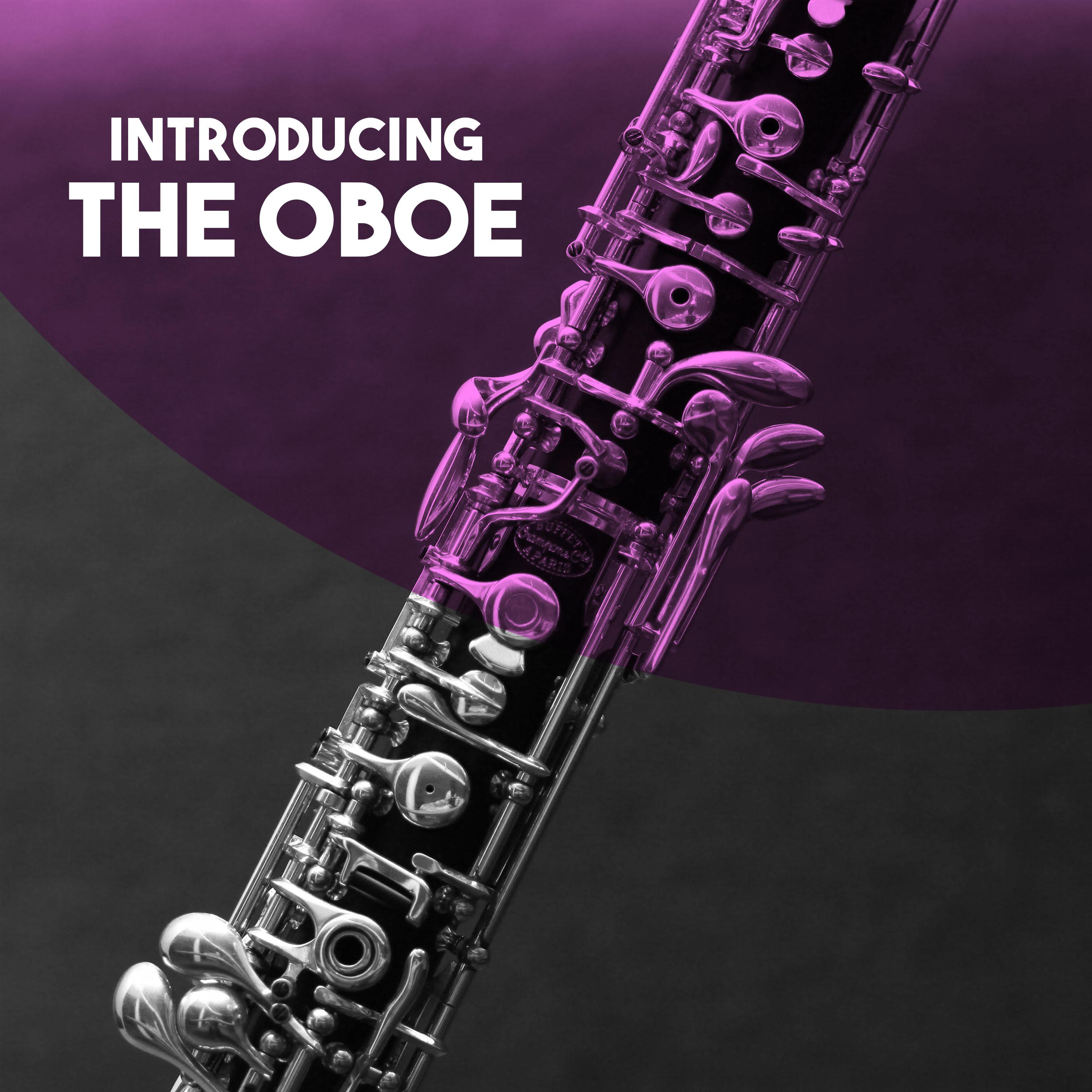 Oboe Concerto in D Minor, TWV51. d1: IV. Allegro