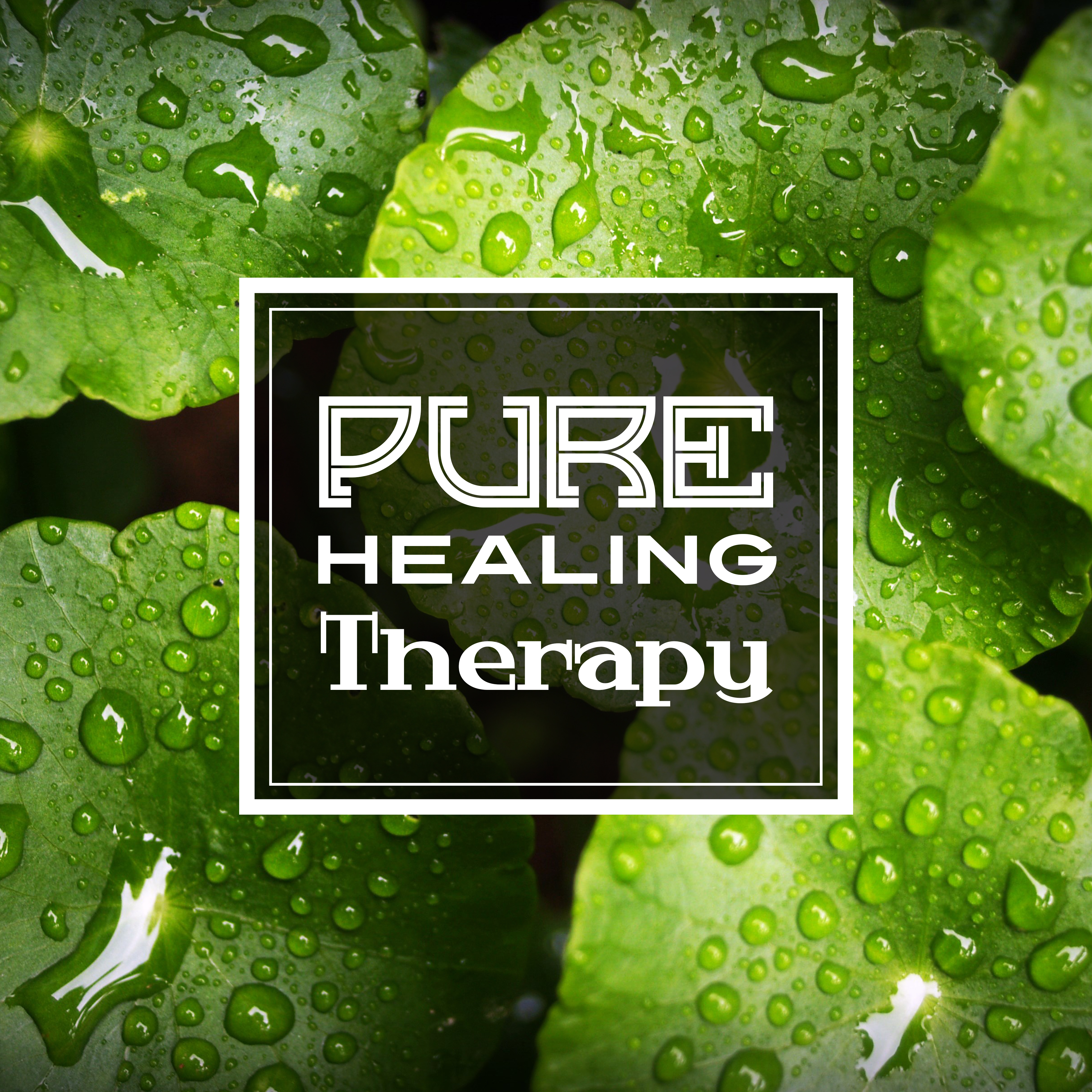 Pure Healing Therapy